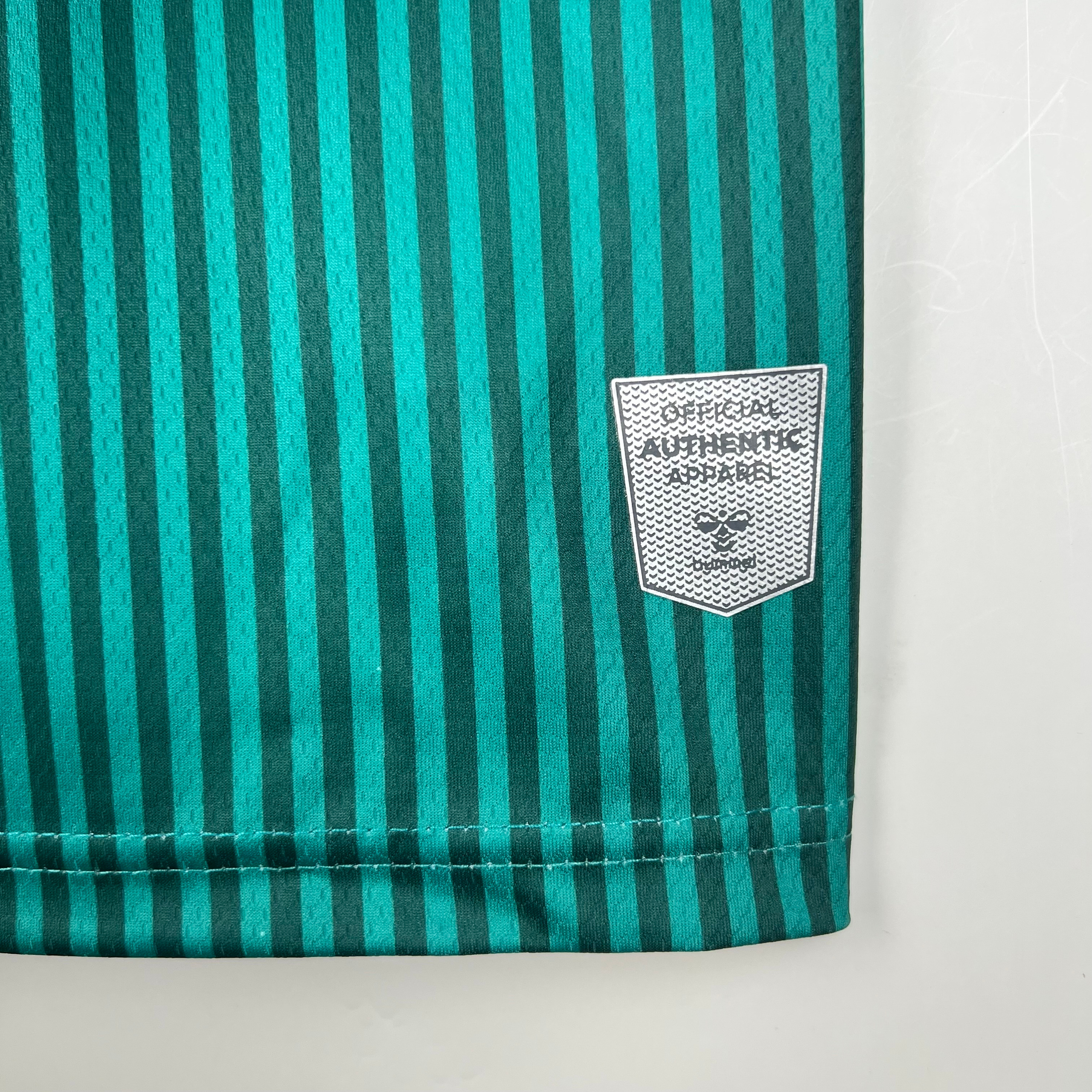 Домашняя футболка Werder Bremen 2023/2024. Футбольный магазин — ssw_magazin