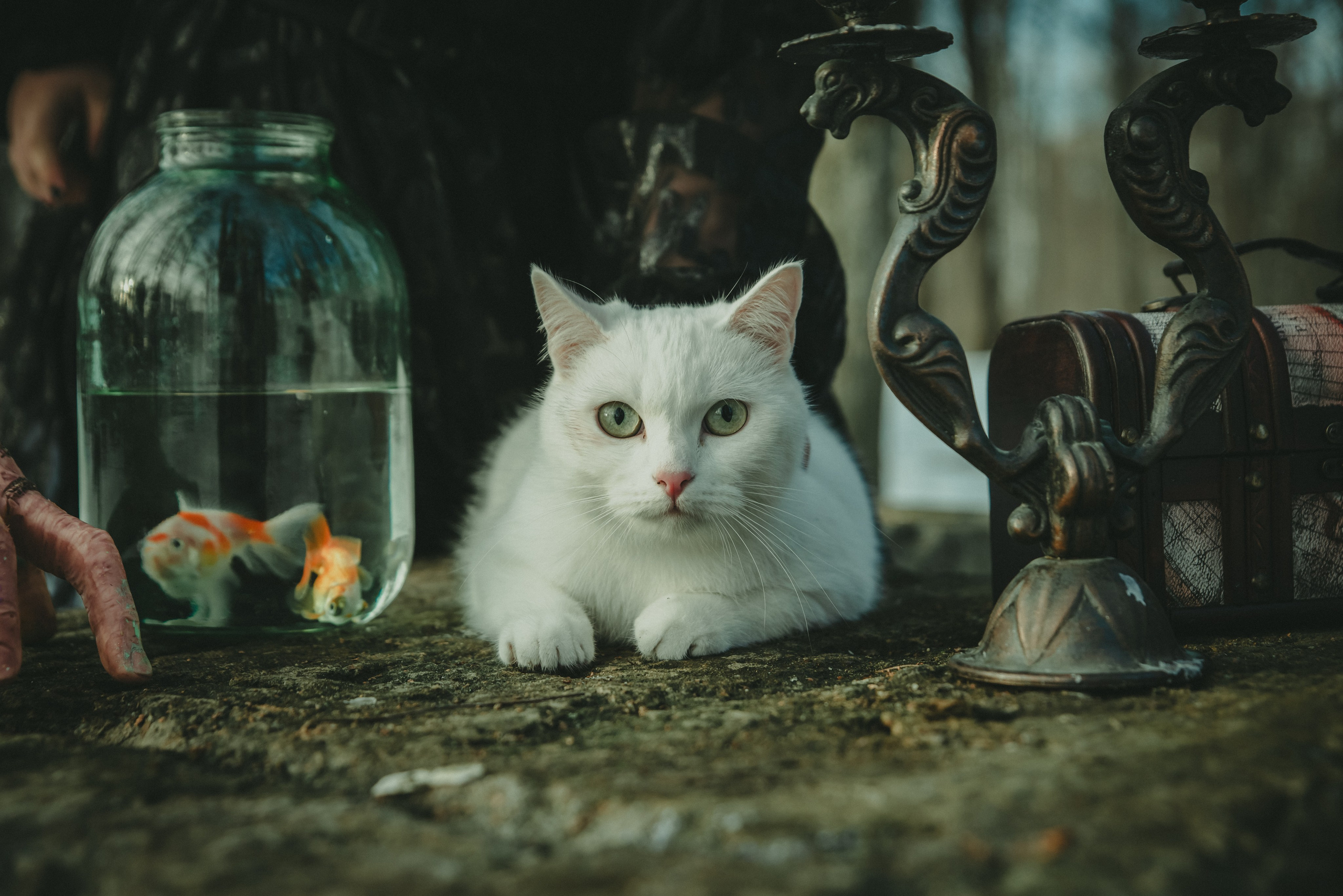 Уэнздей. Фотограф Крещение Венчание Москва