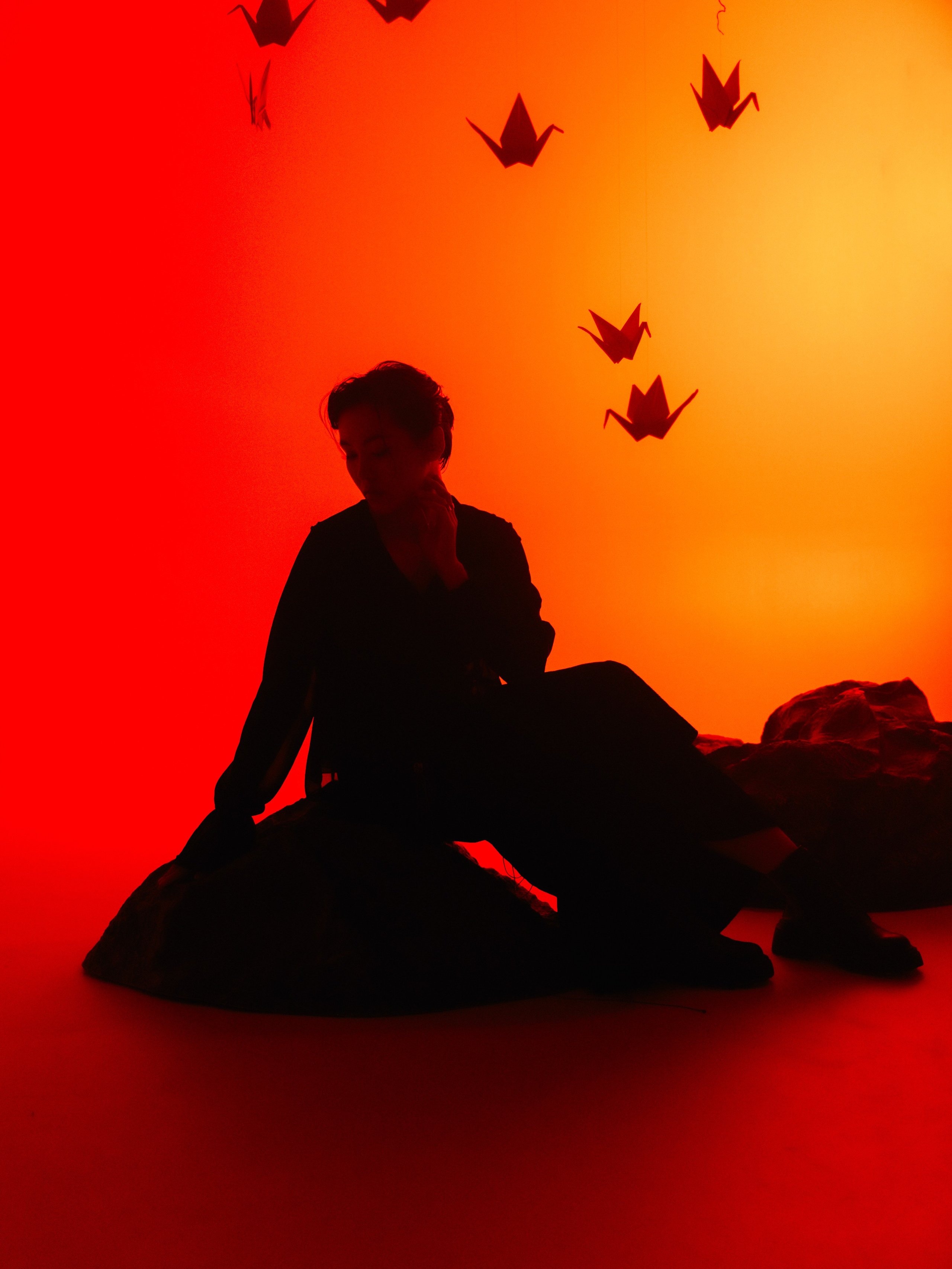 «Тени Киото»