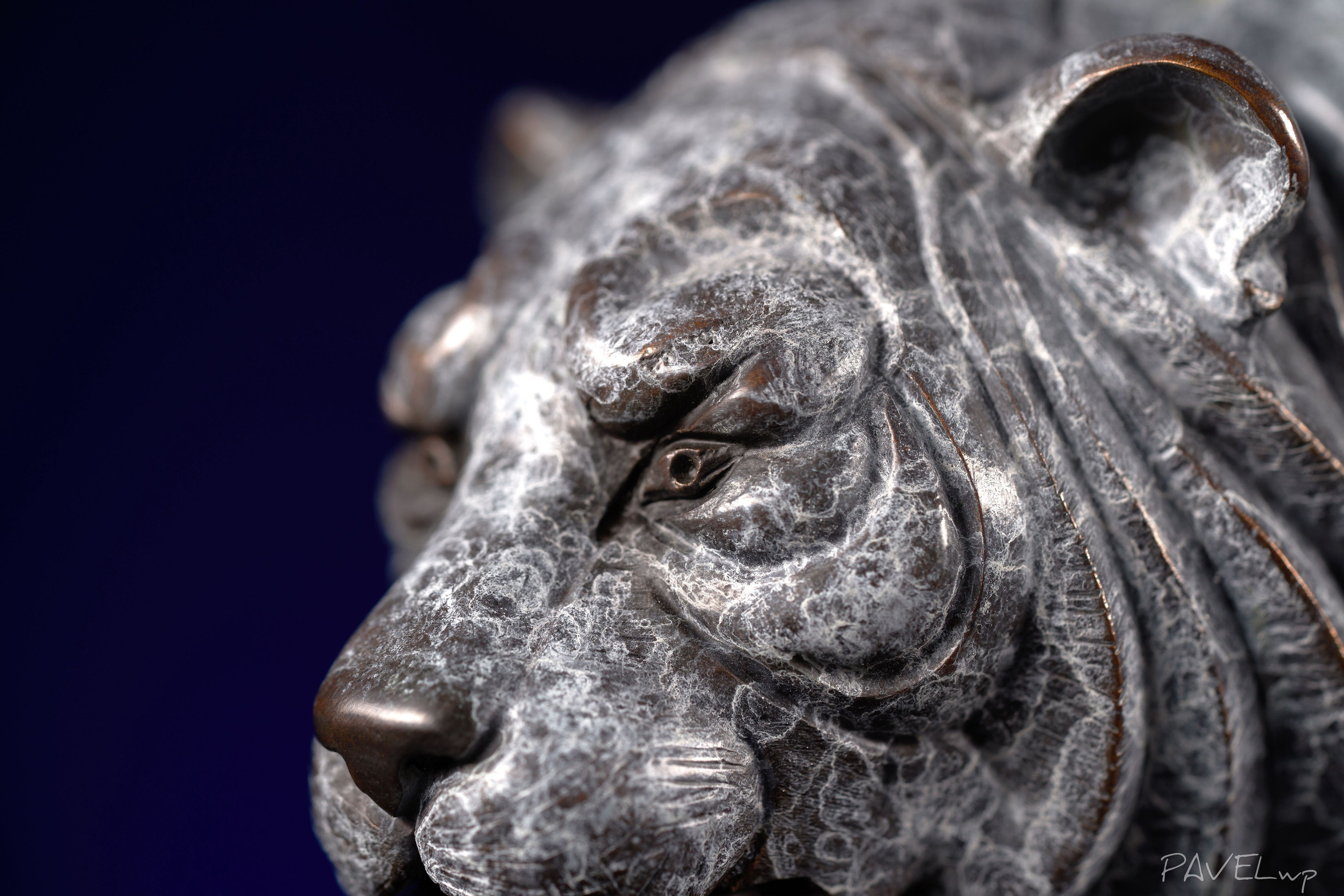 Advertising (product, service). Pavel Stepanov photo, video, drone filming