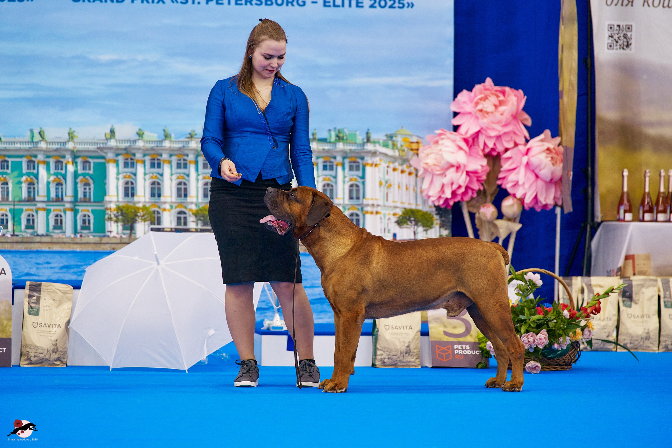ГРАН ПРИ «ВЕСЕННИЙ ПЕТЕРБУРГ» & «СУПЕР КУБОК «ЭЛИТЫ»-2025»