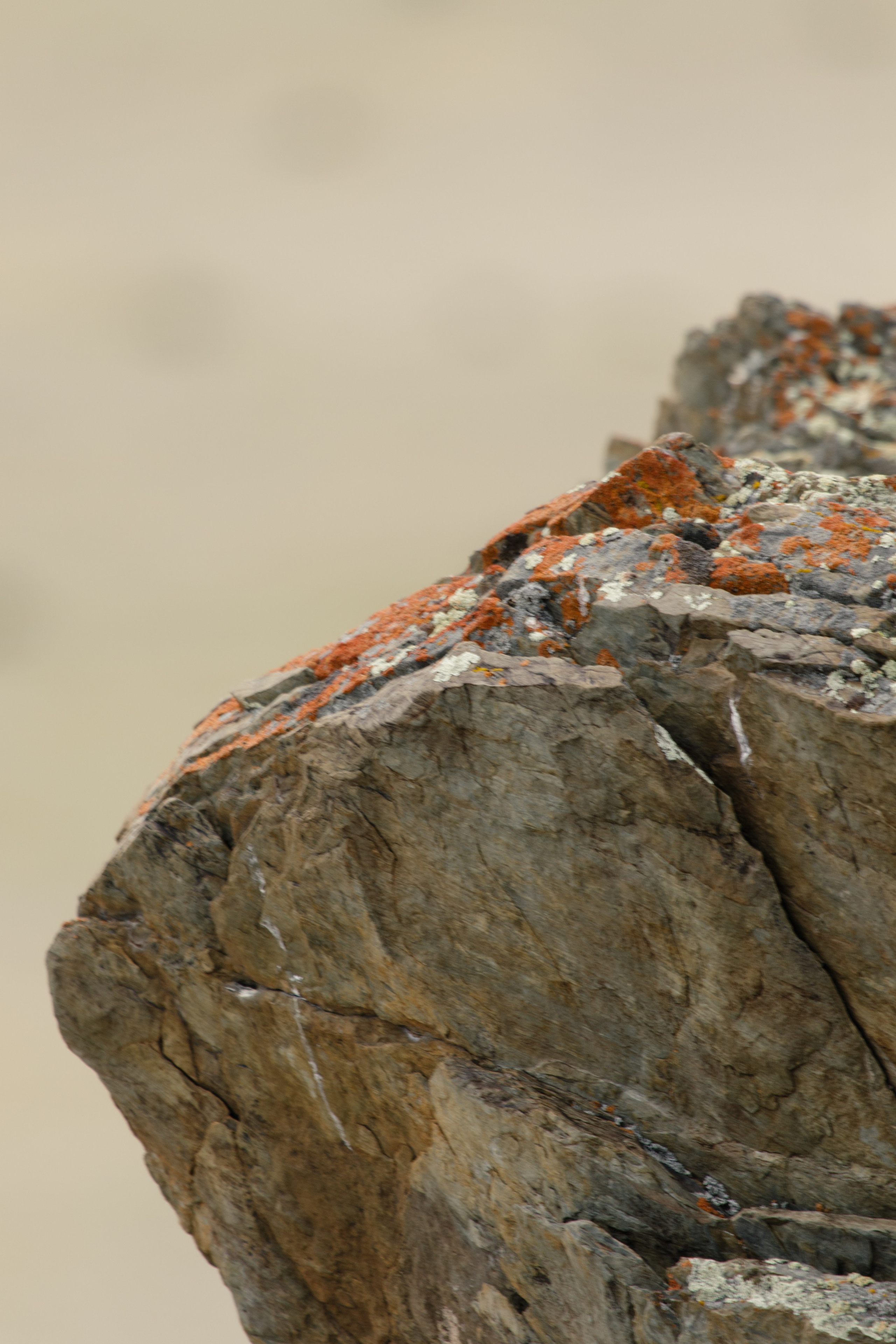 Горный Алтай. Фотограф Кирилл Мешков Кемерово