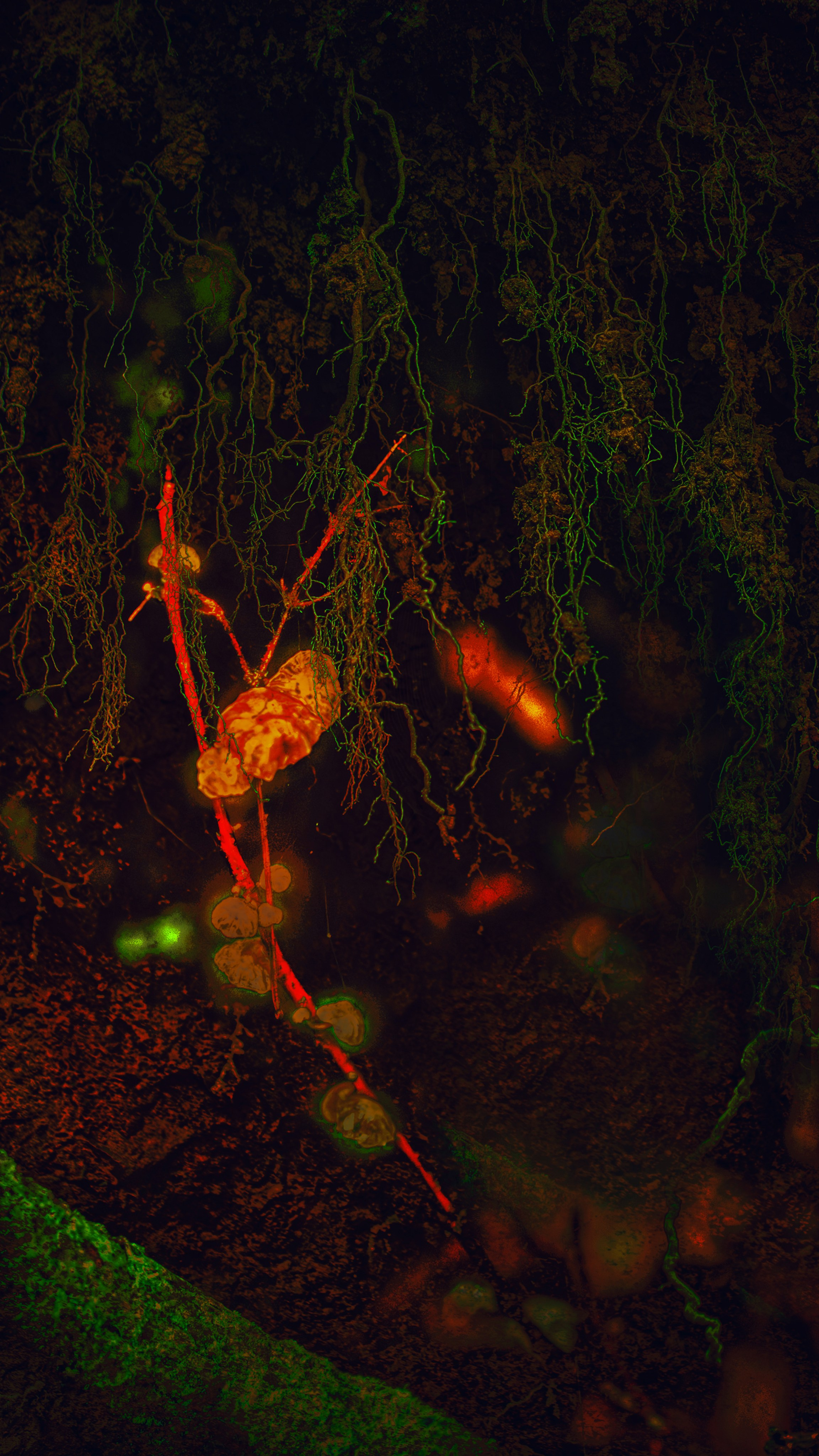 Творчество. Фотограф в Сочи Елена Лисотина. Фототуры в Сочи