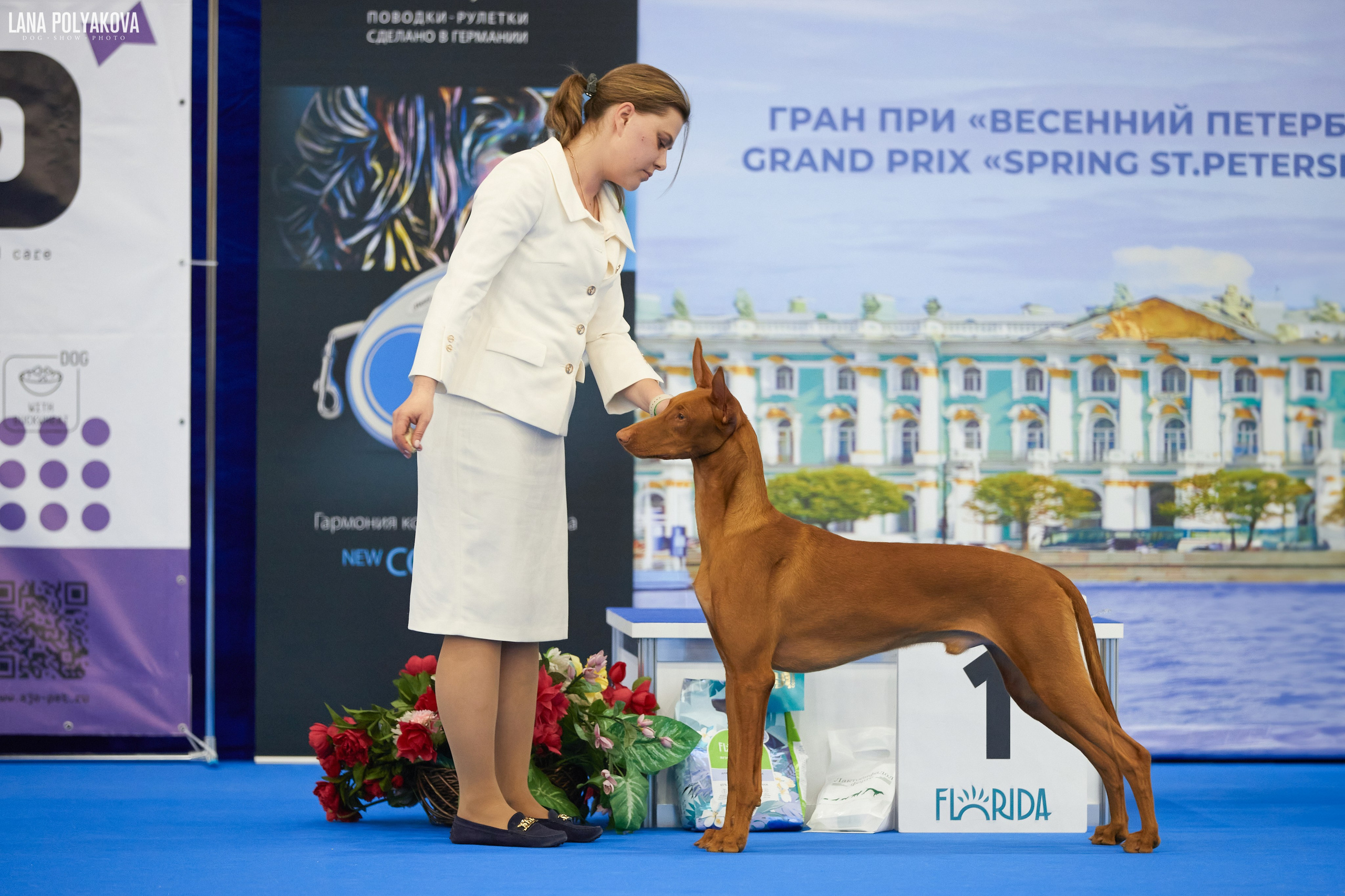 NDS GRAND PRIX «SPRING PETERSBURG 2024» «ELITE-PETERSBURG 2024». ФОТОГРАФ-АНИМАЛИСТ l LANA POLYAKOVA