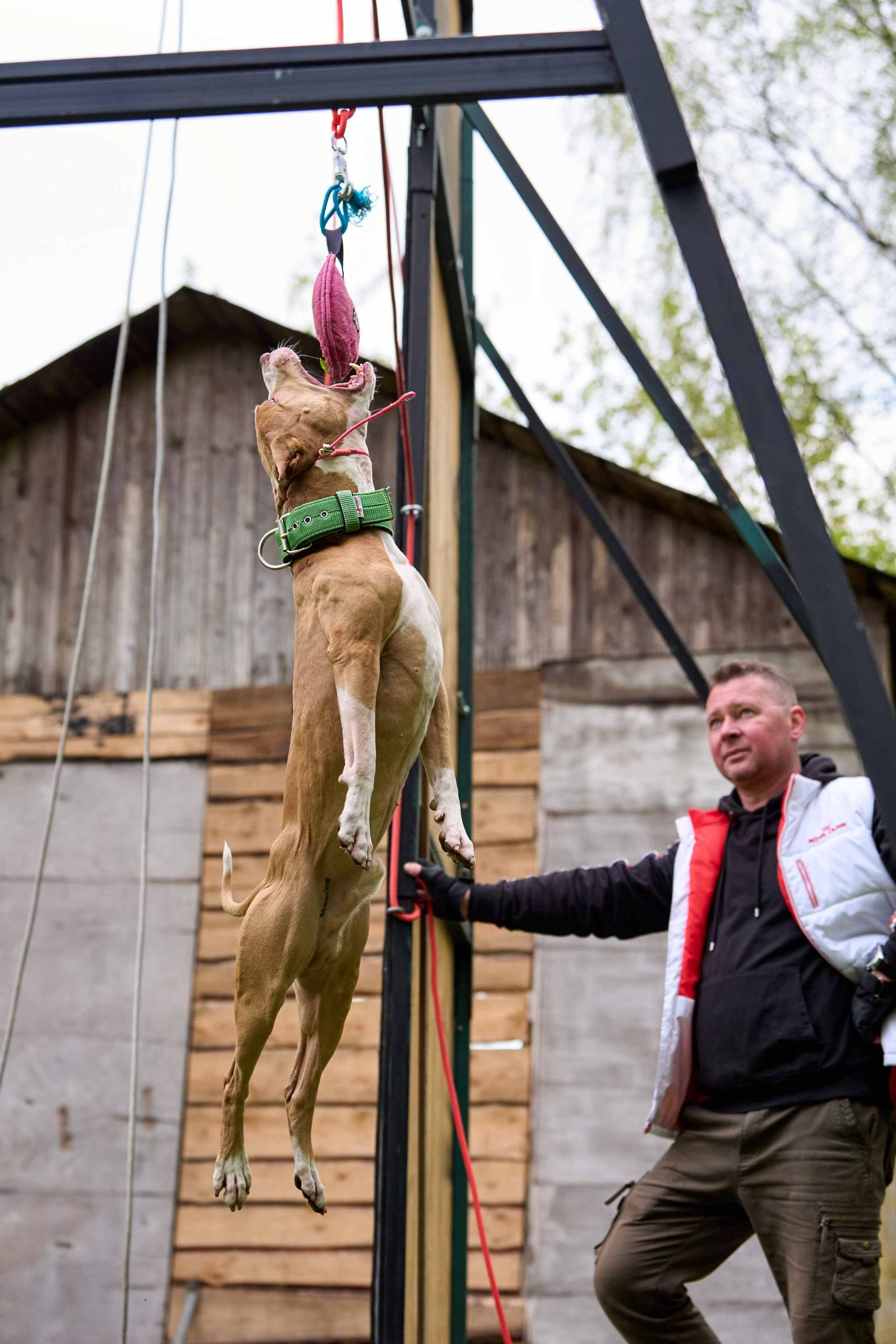 Фотосессия на площадке Jump'n'Gym. Фотограф-анималист Михаил Манухин