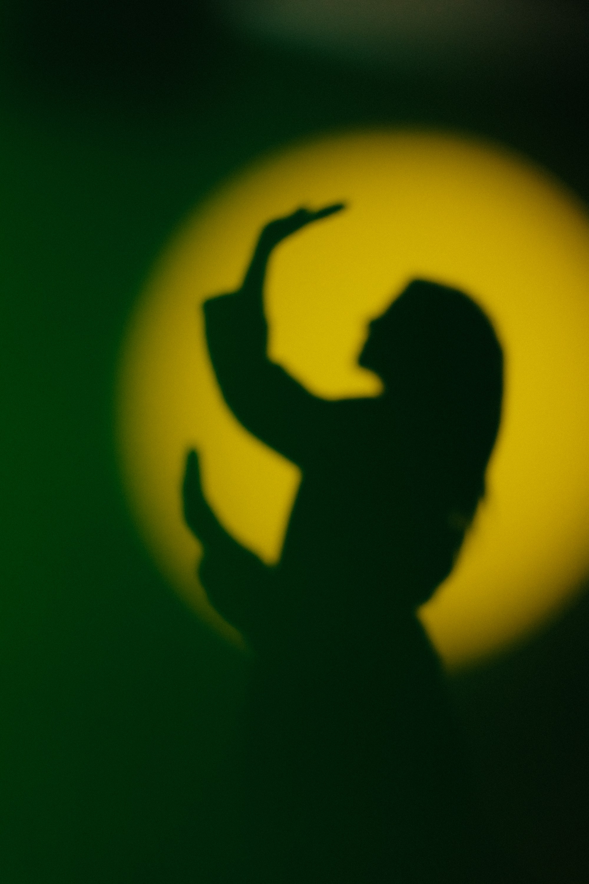 4. Пробуждение. Репортажный и портретный фотограф во Владимире Сергей Кравцов