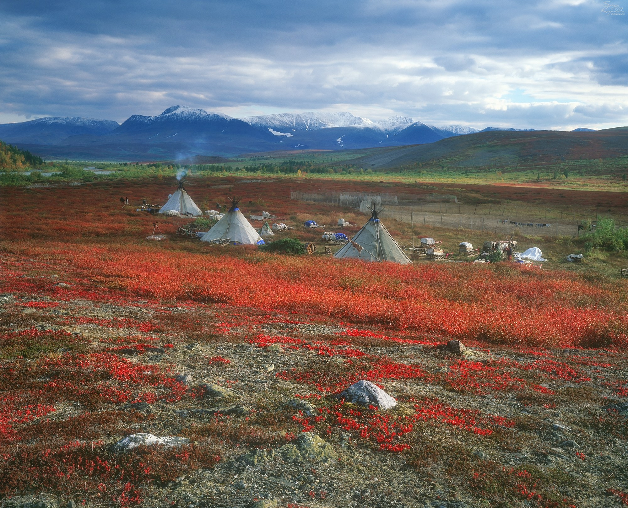 Стойбище ненецких оленеводов на Полярном Урале, Ямало-Ненецкий автономный округ.