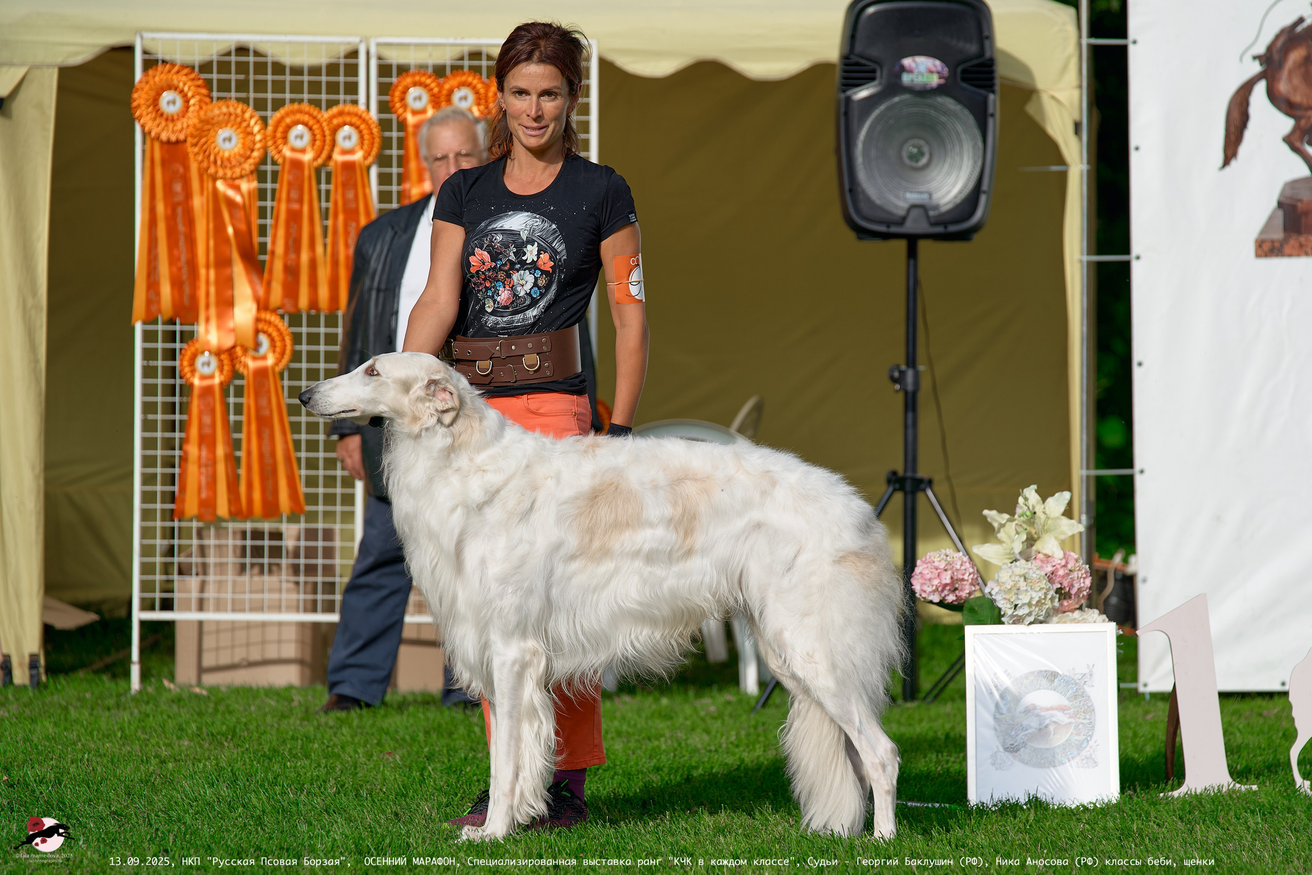 ОСЕННИЙ МАРАФОН | Специализированная выставка породы Русская Псовая Борзая ранг "КЧК в каждом классе"