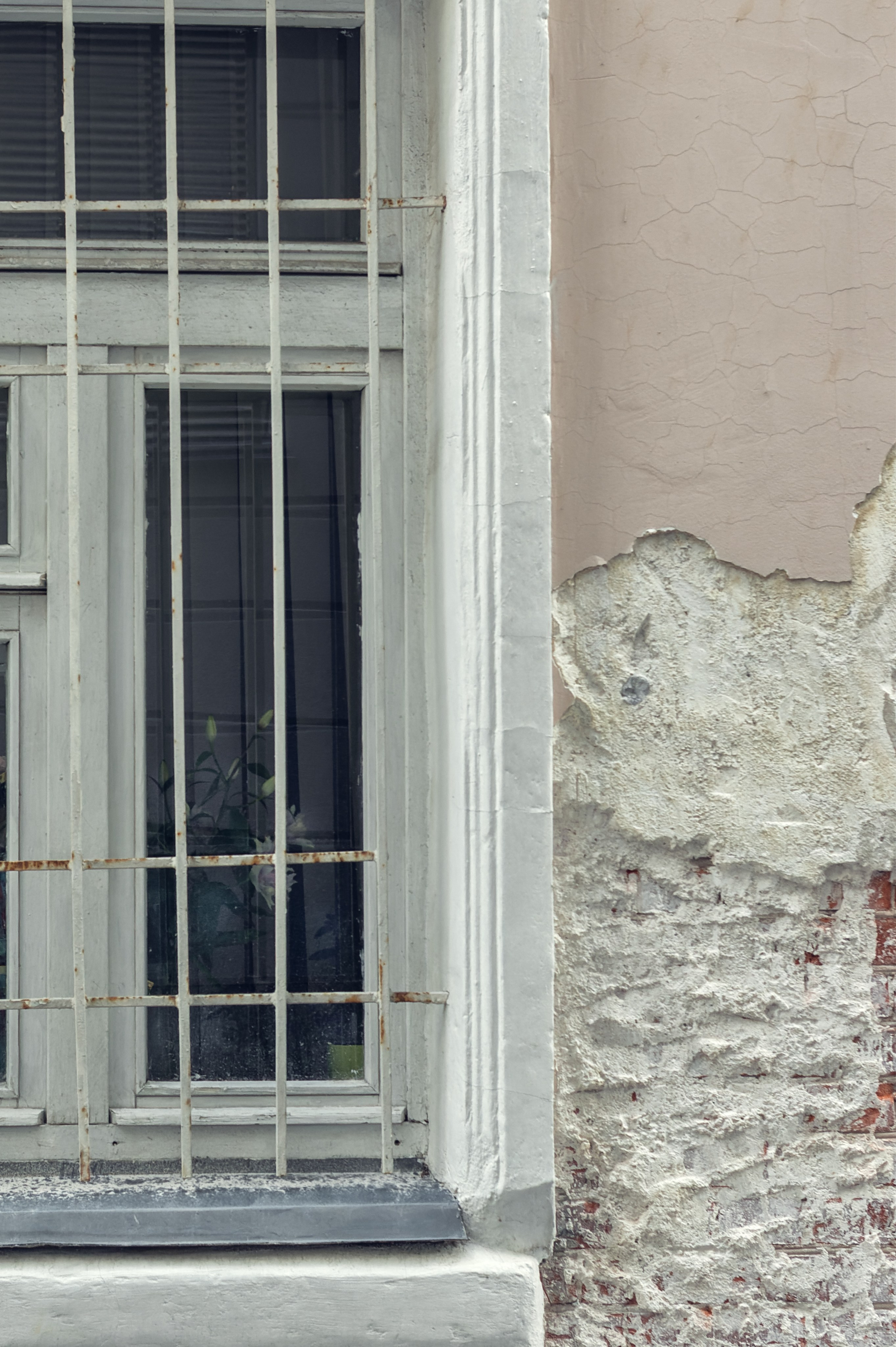 Фотограф на экскурсию Москва и Московская область