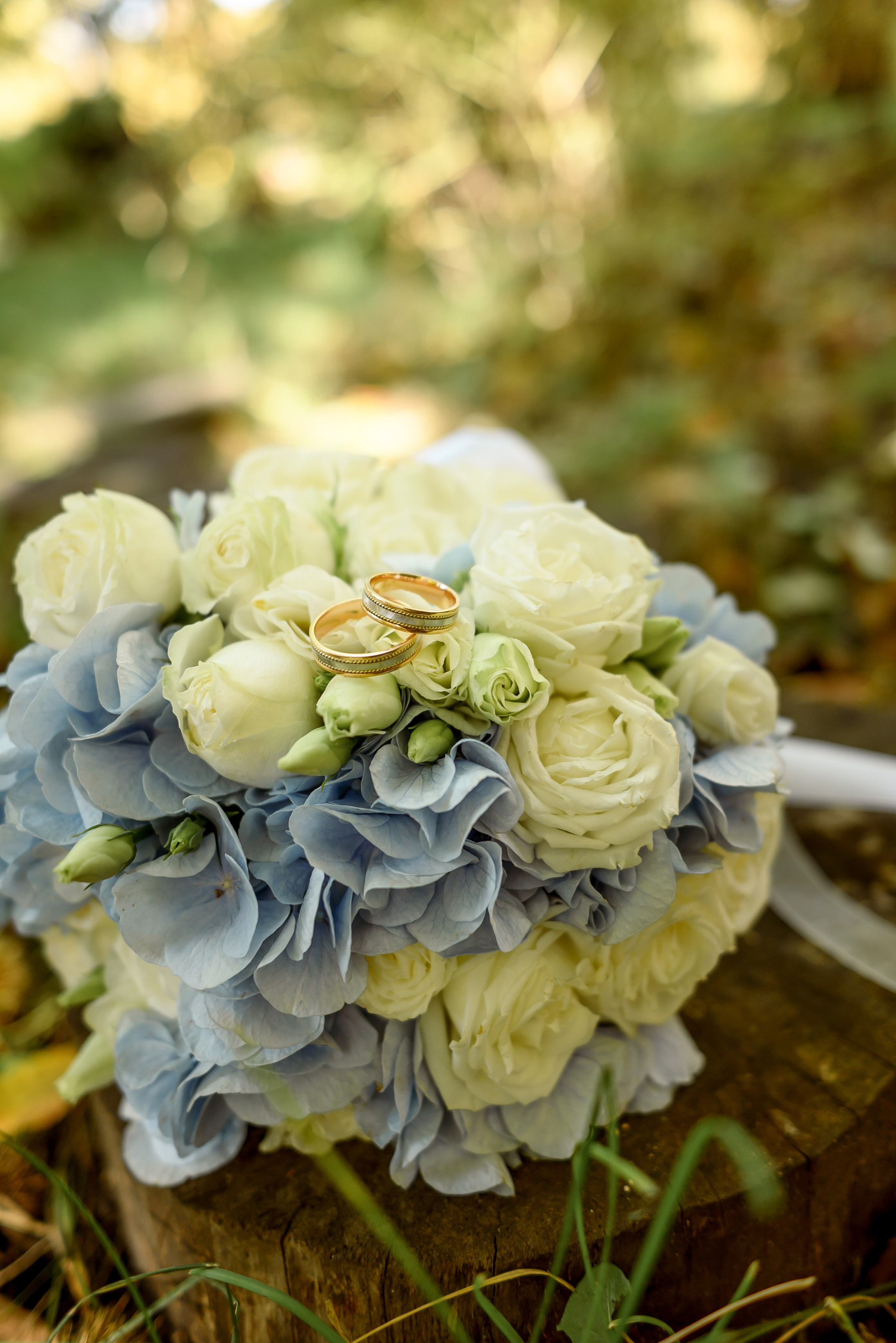 Осенняя прогулка. Юлия Басня семейный и свадебный фотограф в Донецке