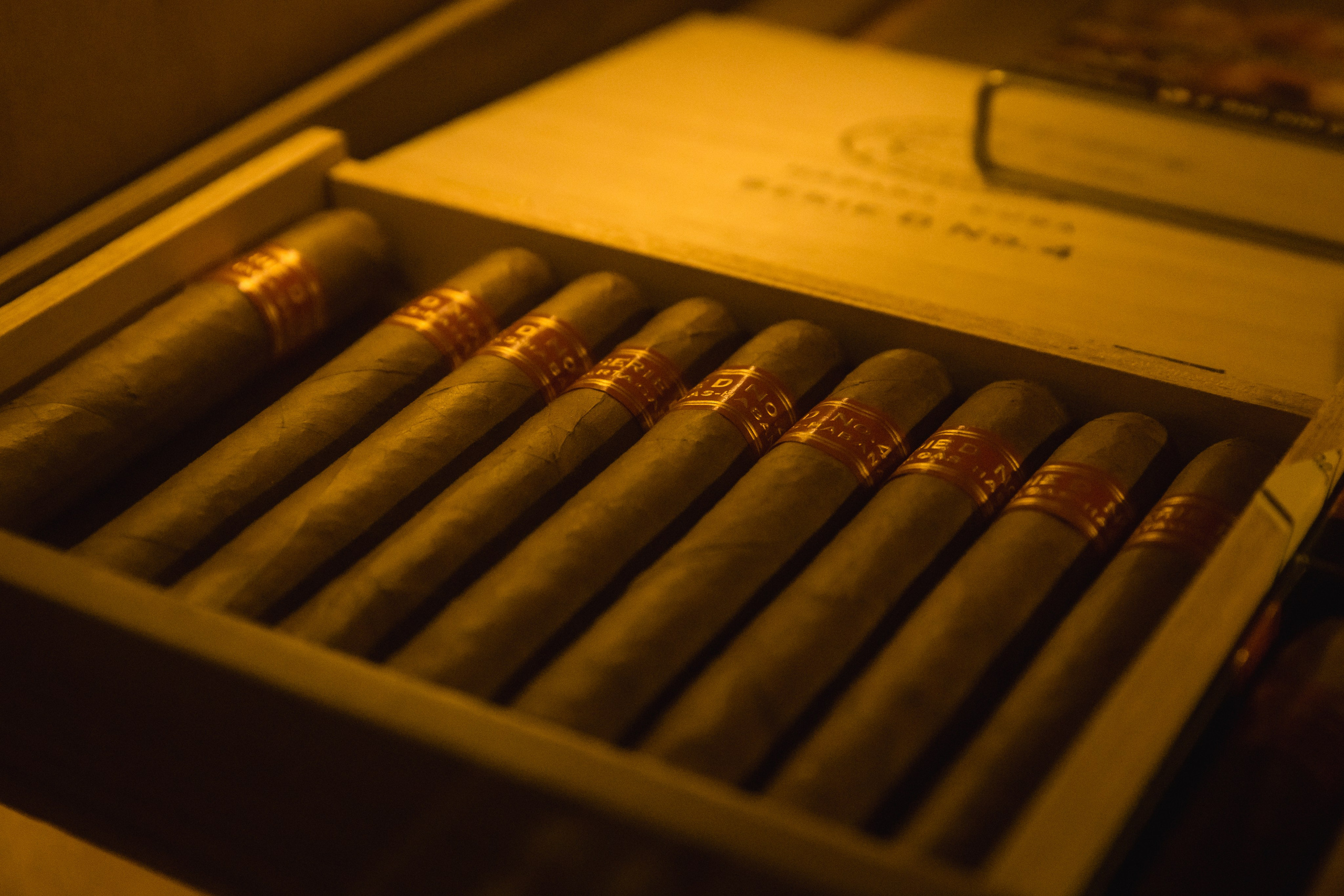 ХАБЛ БАБЛ | ДЕНЬ РОЖДЕНИЯ В СТИЛЕ «КАЗИНО». Фотограф в Сочи Екатерина Потапова