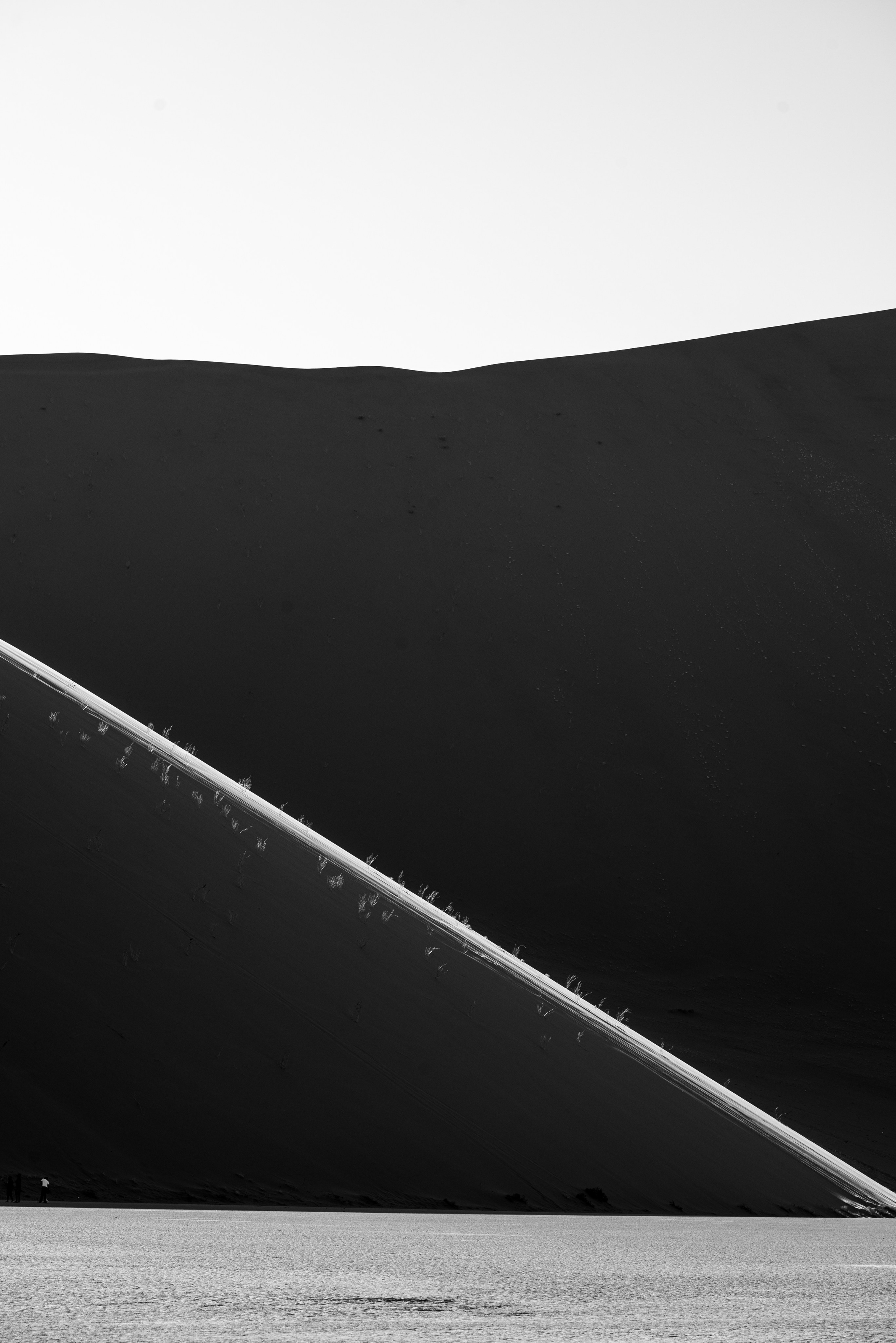 Выставки. Фотограф Дарья Сафонова Dashulkacss