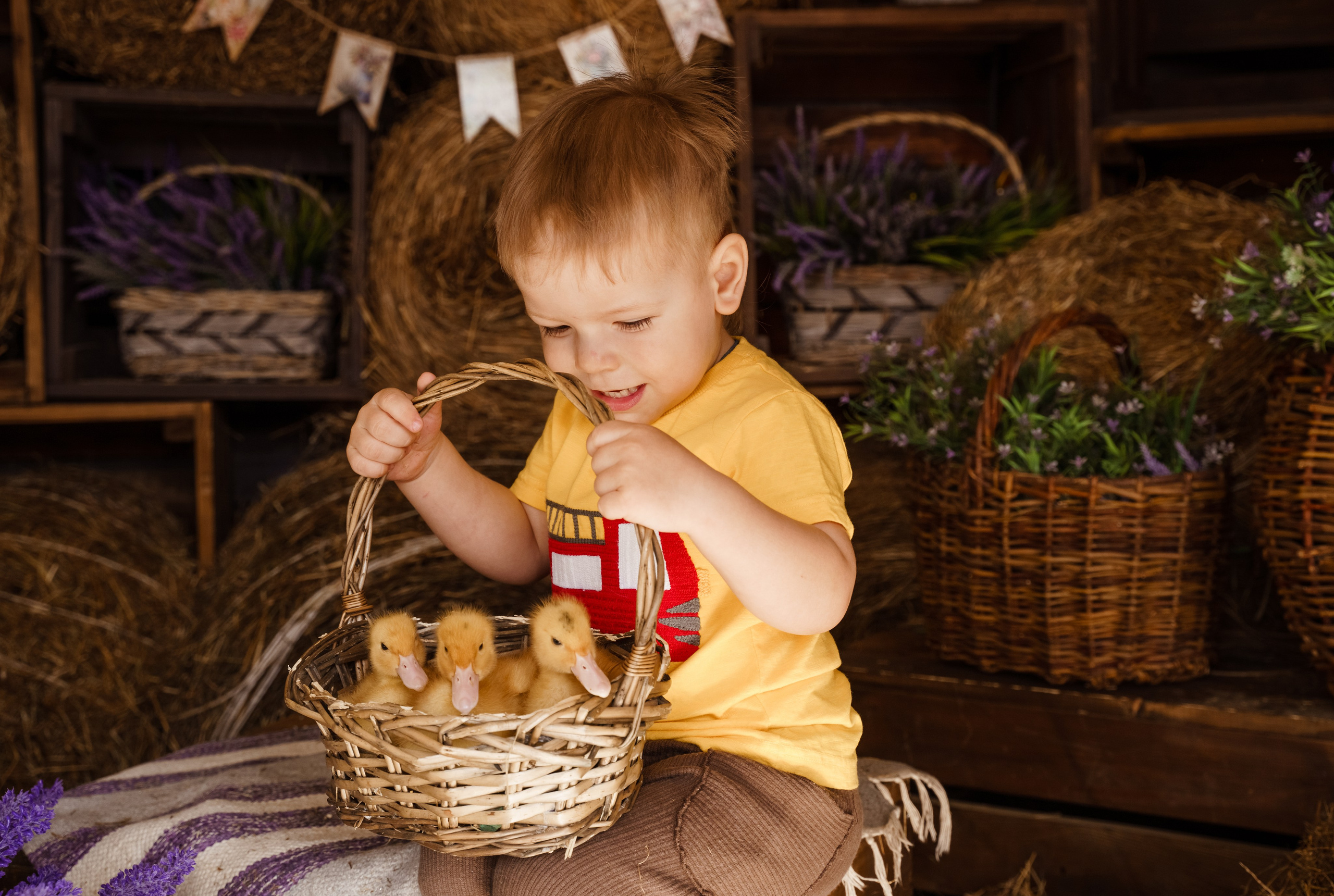 Фотосессия с утятами в студии