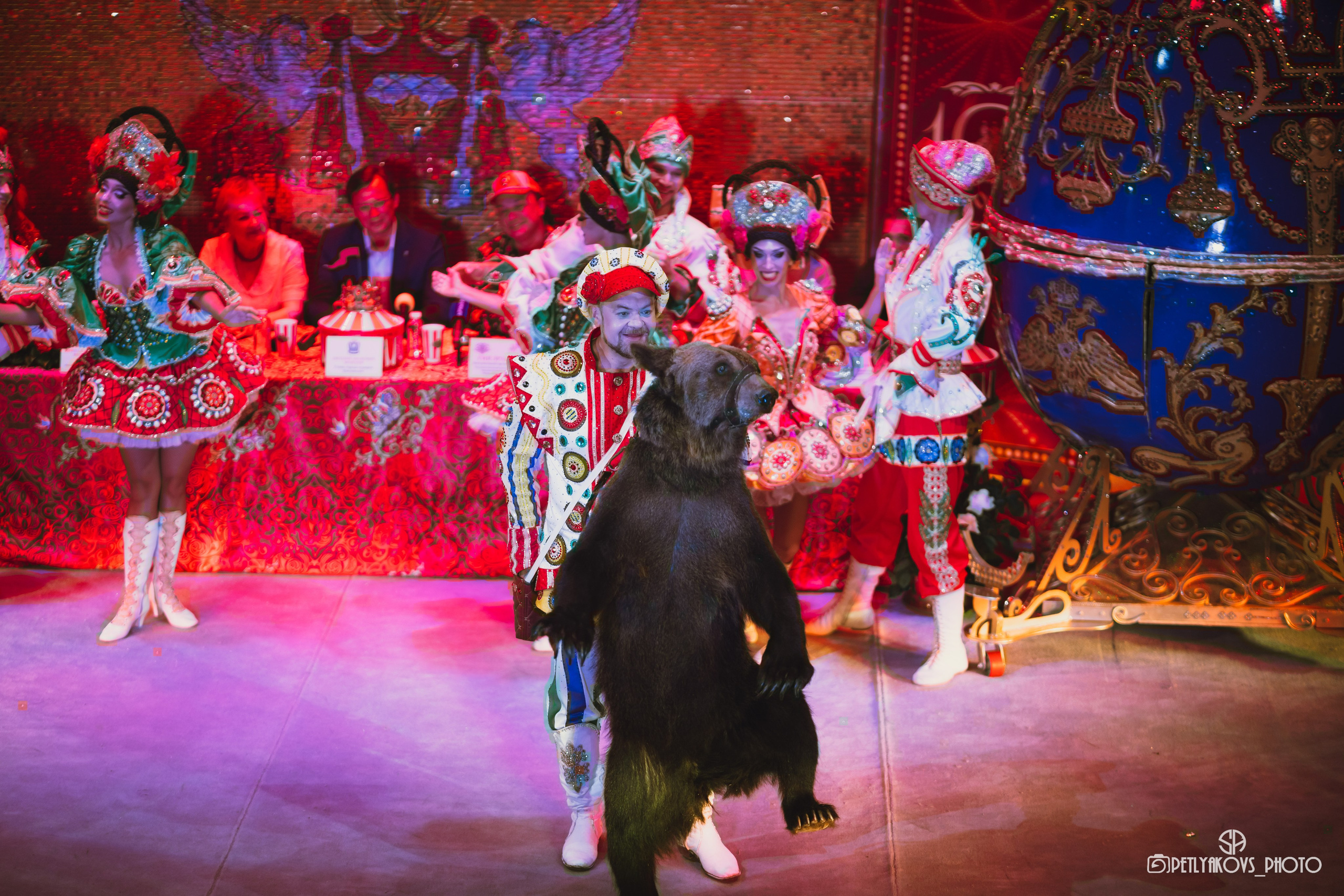 Пресс-конференция циркового шоу Гии Эрадзе «Бурлеск» (репортаж). Фотограф, видеограф Пятигорск, Ставрополь, Ессентуки, Petlyakovs_photo
