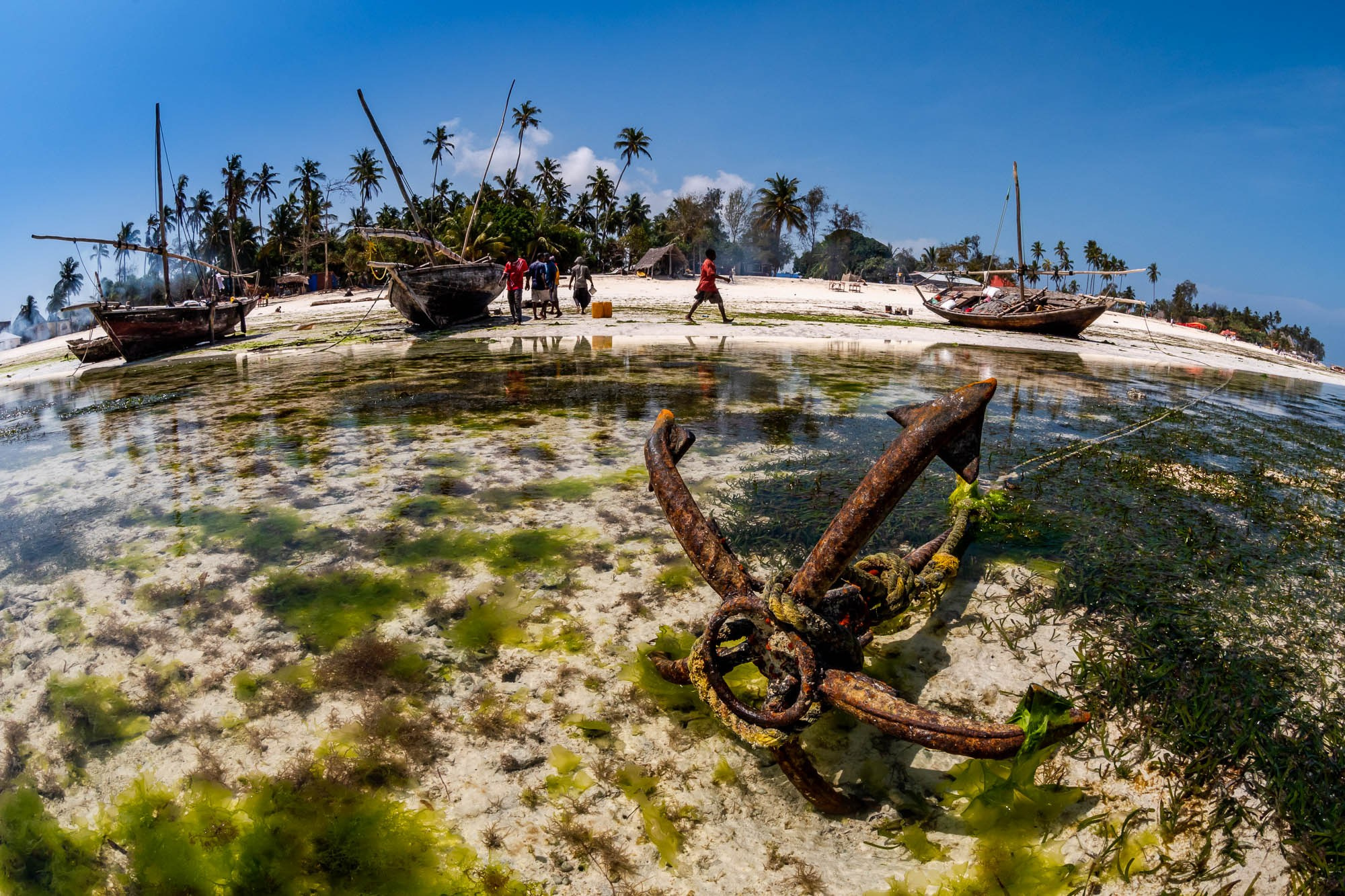 Африка, Танзания, Занзибар, Нунгви. Africa, Tanzania, Zanzibar, Nungwi. Фотограф Алексей Скоробогатько