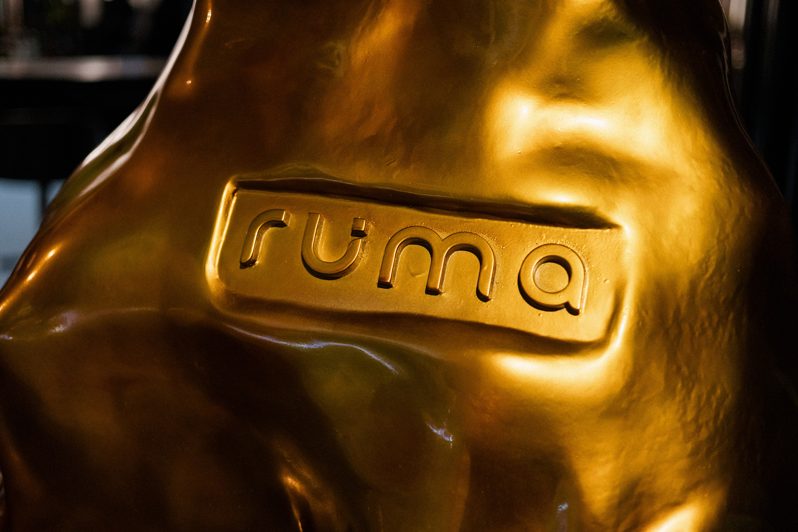 ВЕЧЕР В RUMA