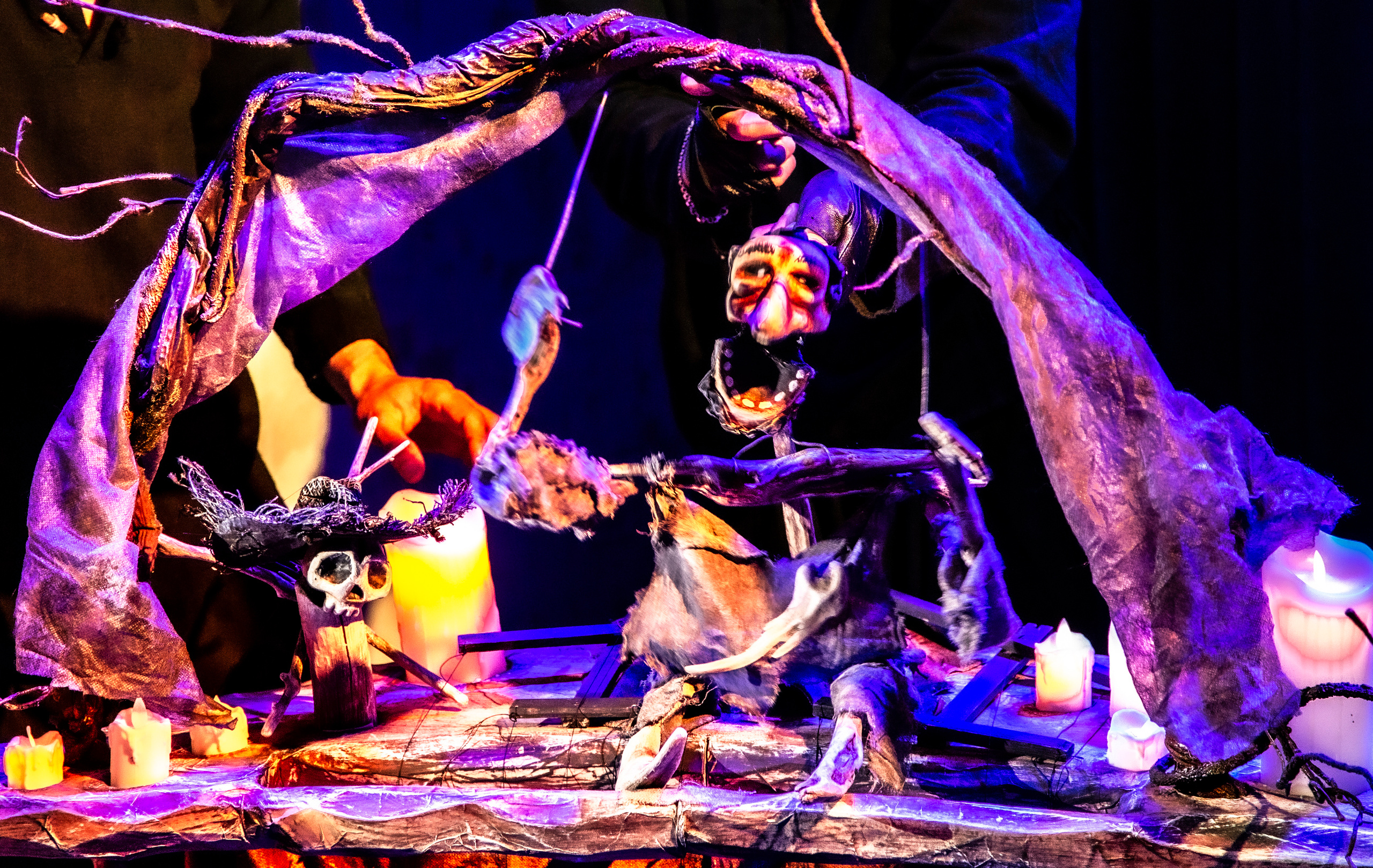 Сказки Макондо. Фотограф в Сочи Юрий Шептаев