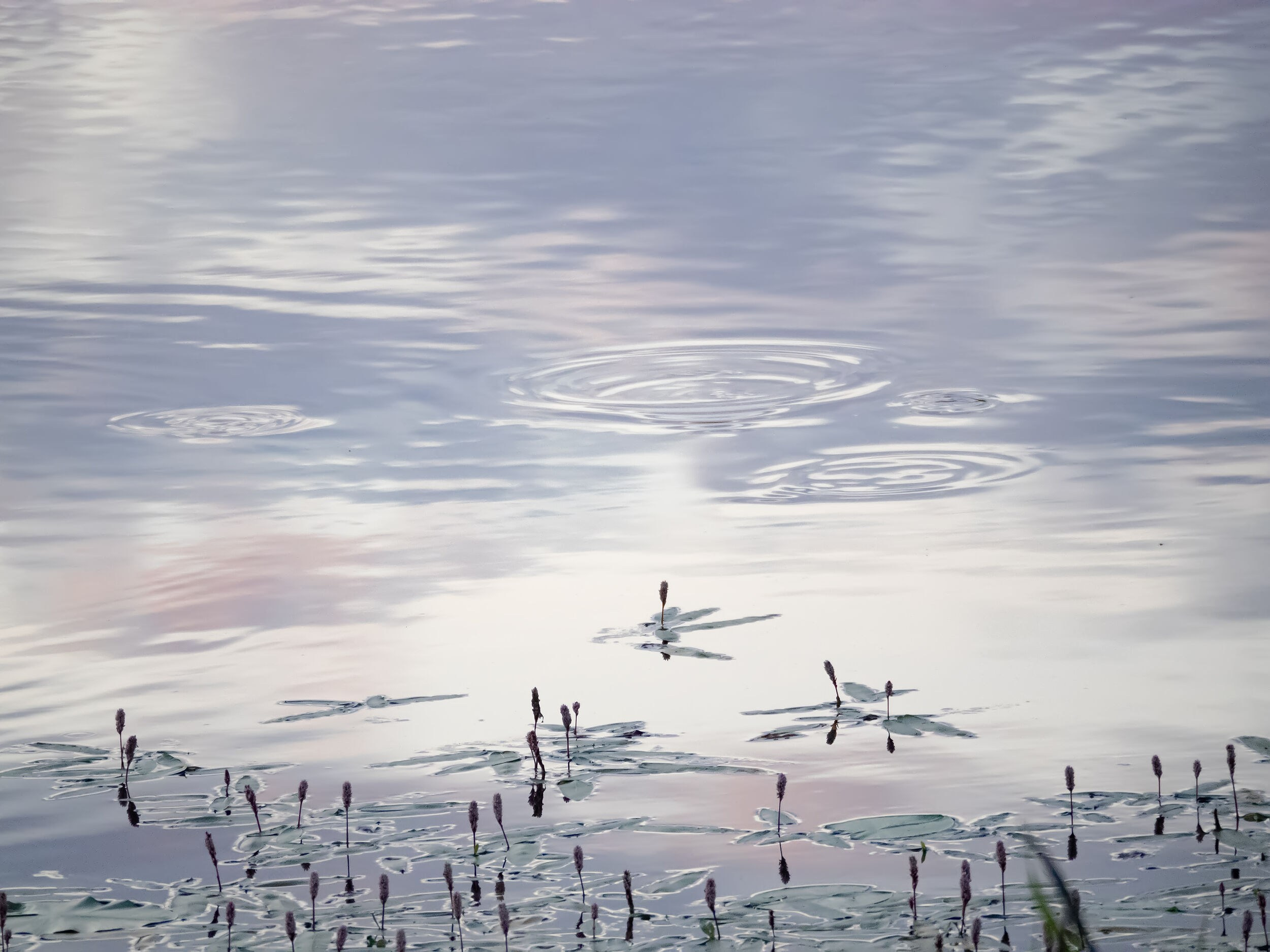 Елена Гонтаренко — художественный портрет. Фотограф в России, Семейный фотограф, репортажный фотограф, детский фотограф, портретный фотограф, контент фотограф, универсальный фотограф