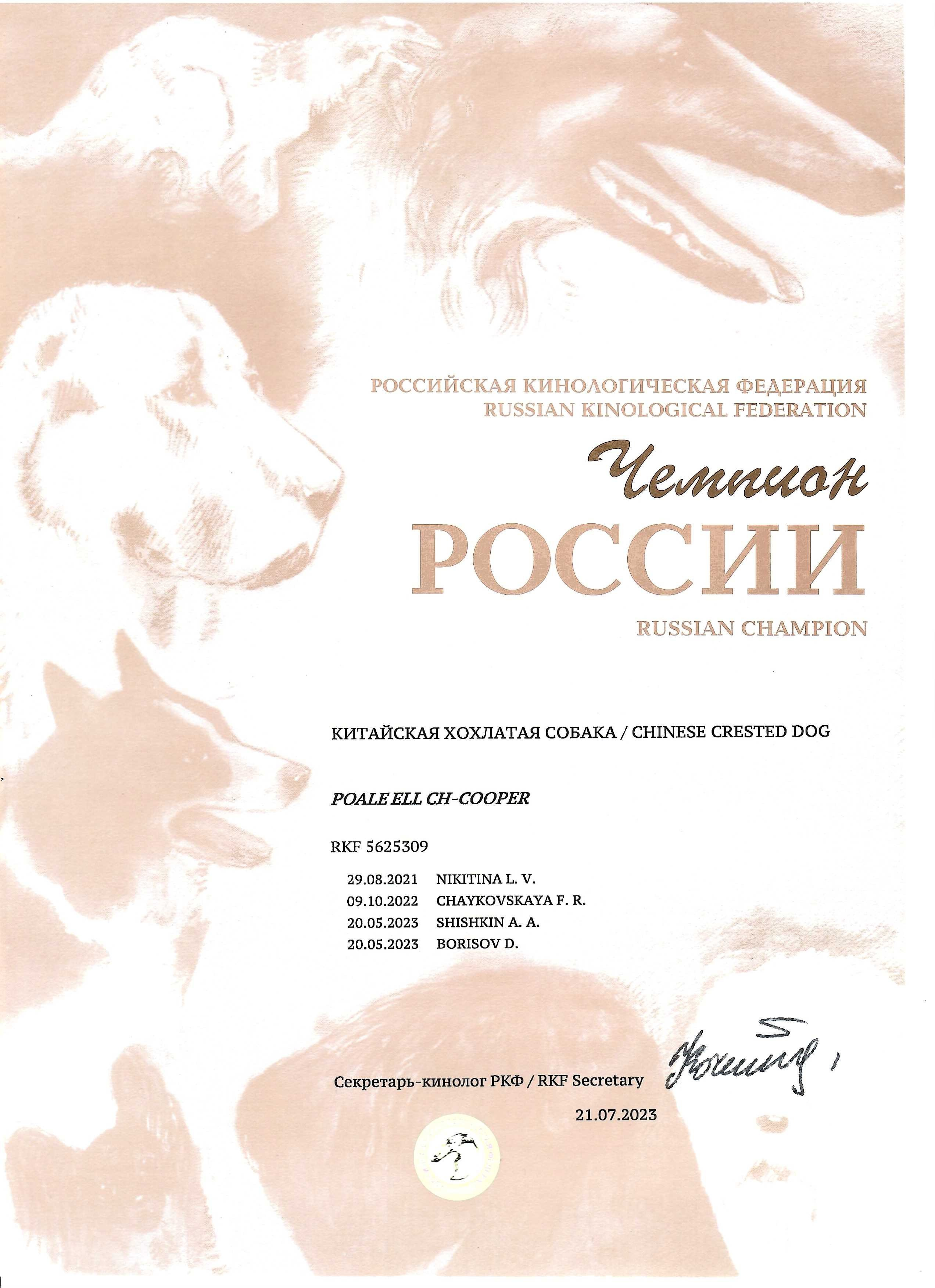 Poale Ell Cooper. Chinese Crested Dog Kennel Poale Ell