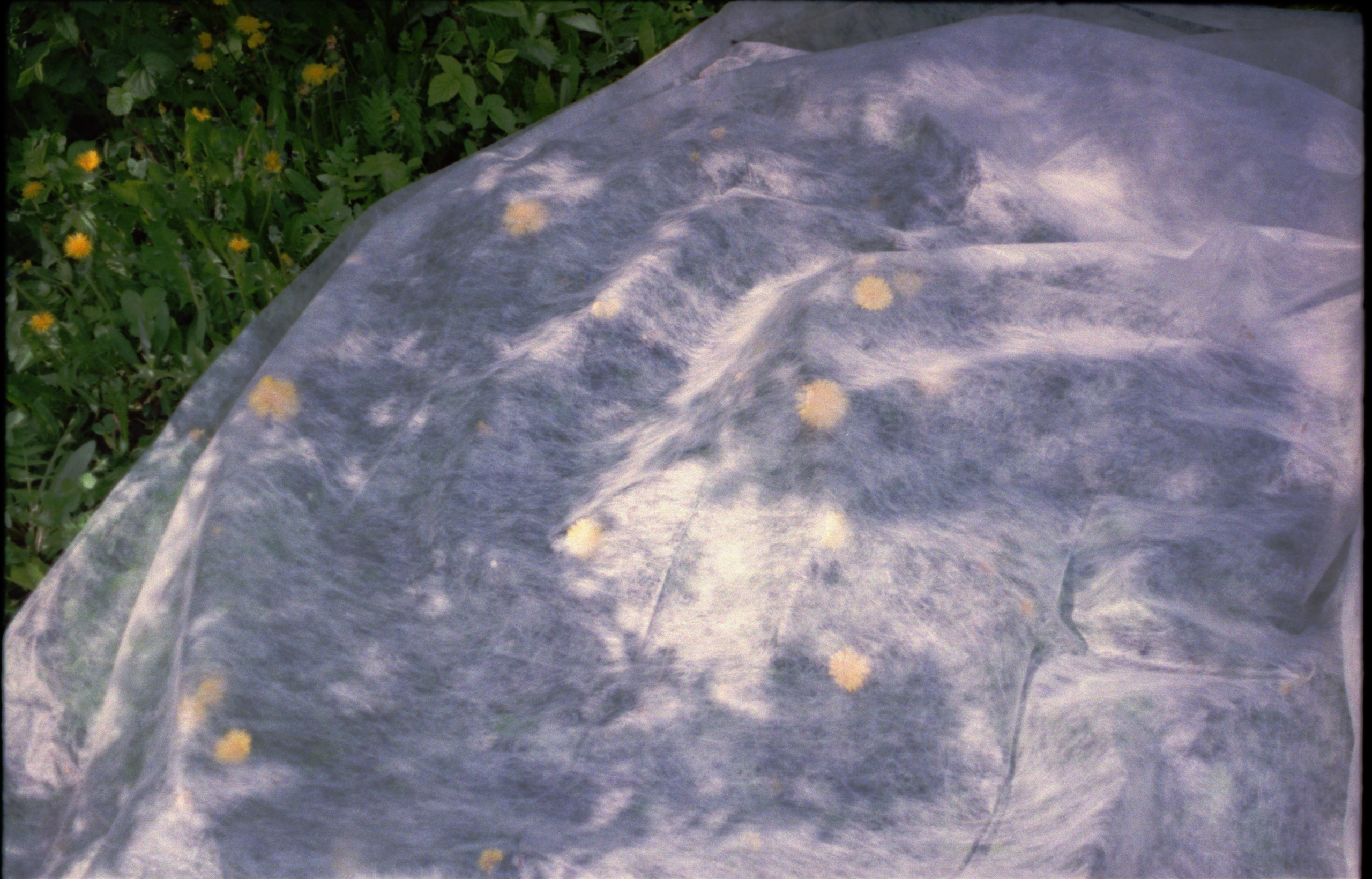 Рутова Наталья. Бабушкино поле. Наталья Рутова