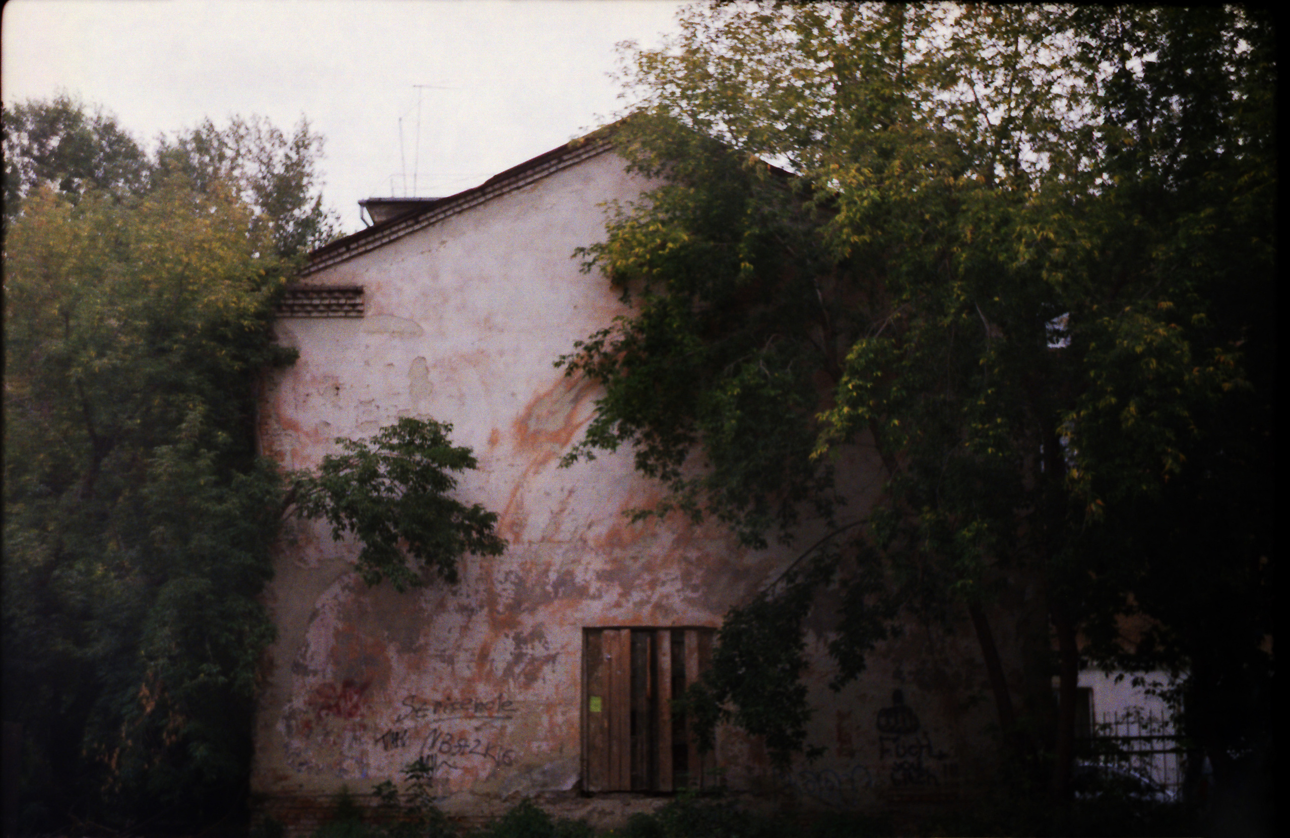 Рутова Наталья. Бабушкино поле. Наталья Рутова