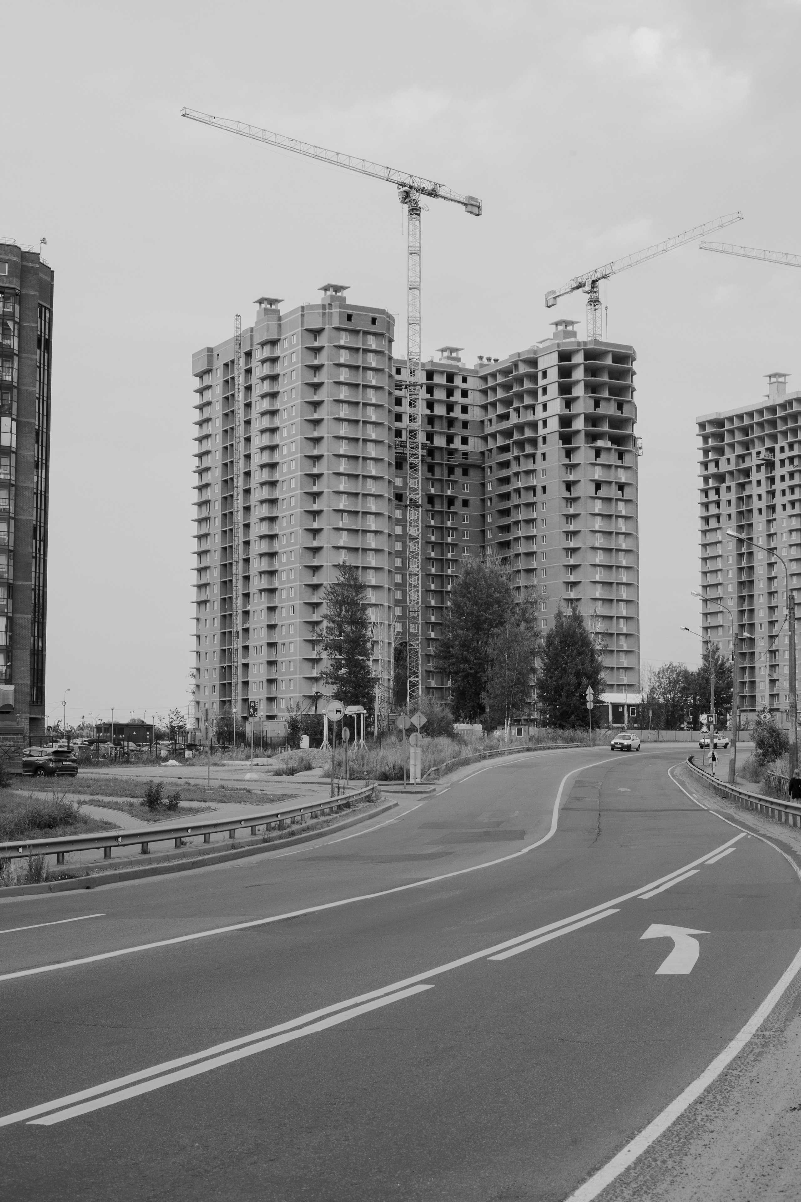 Fruits still falls from apple trees. Kristina Sergeeva