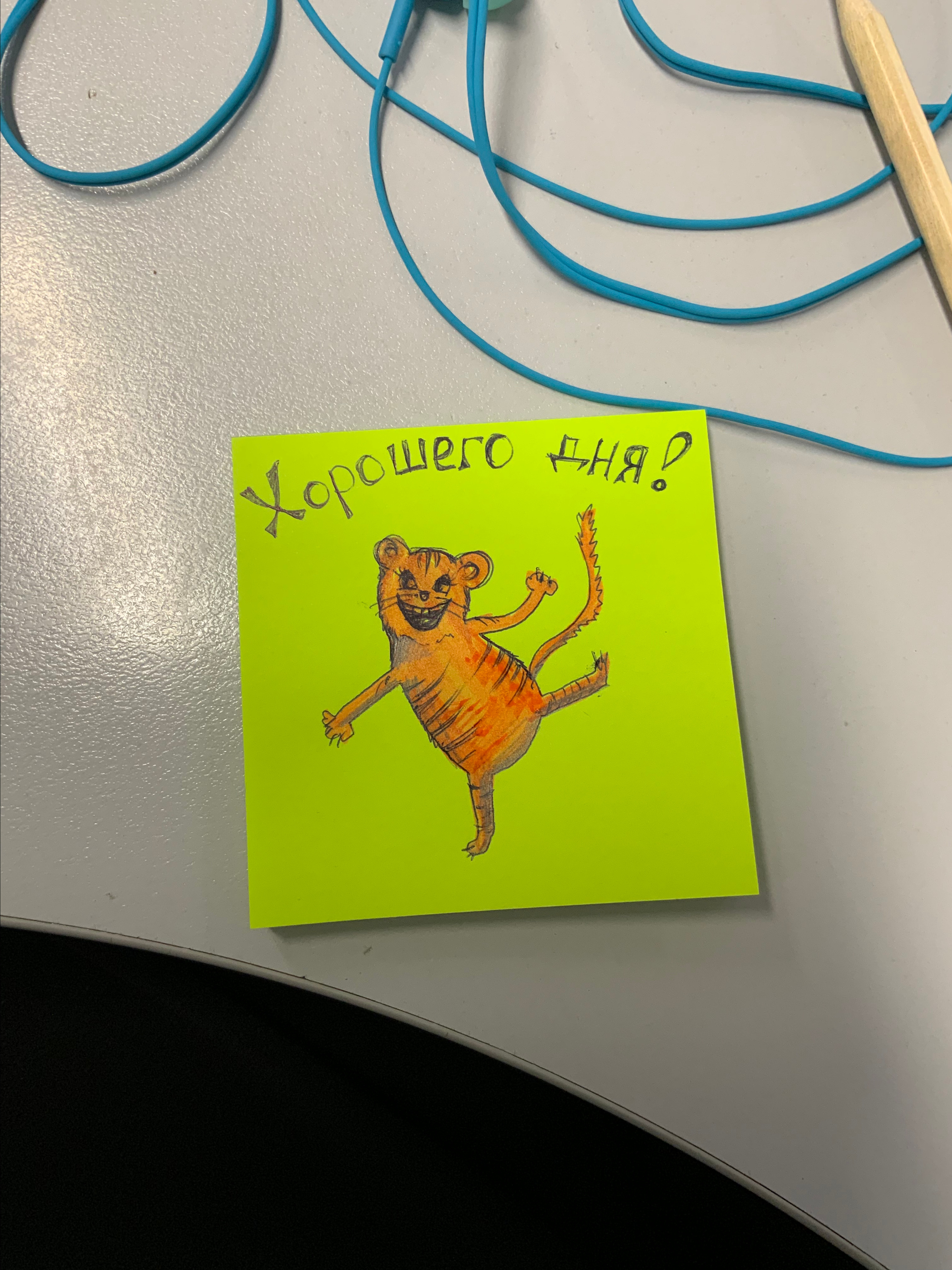 РИСУНКИ, СТИКЕРЫ, АРТЫ, КАРТОЧКИ ДЛЯ МАРКЕТПЛЕЙСОВ НАЗАКАЗ. Фотограф и художница в Хабаровске Татьяна Трубникова