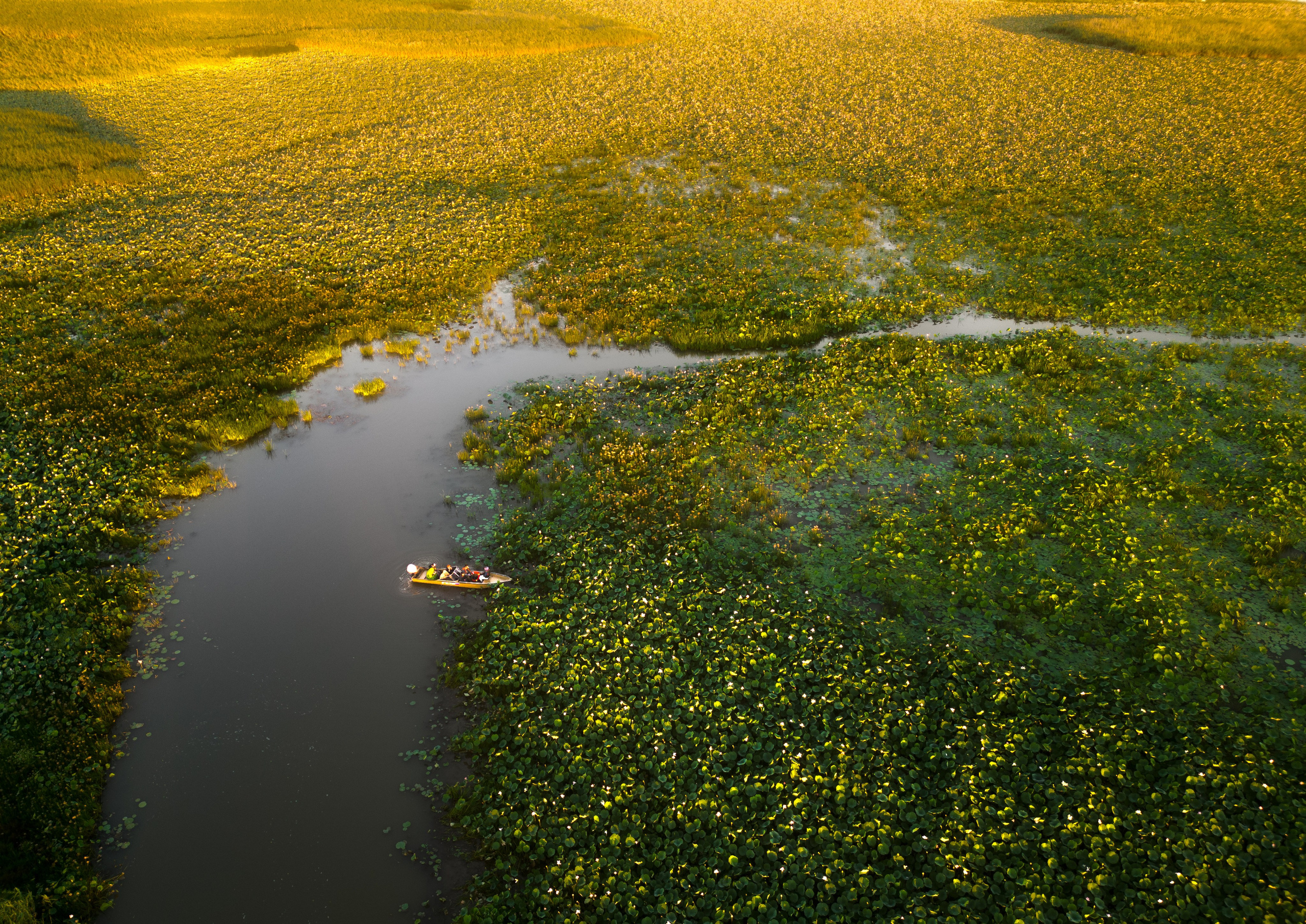 Барханы и лотосы. Июль–Август
