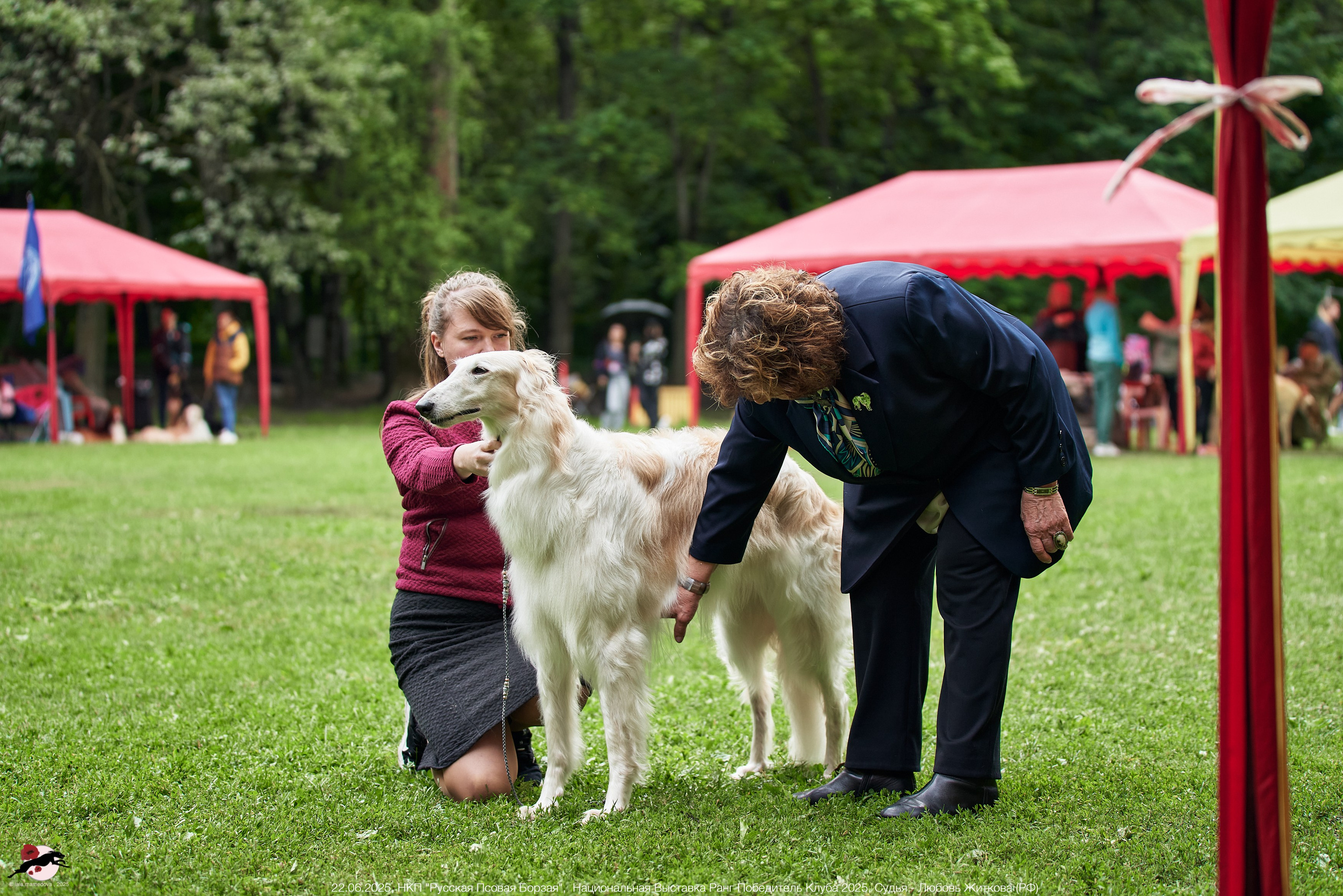 22.06.2025 | Национальная Выставка НКП "Русская Псовая Борзая"