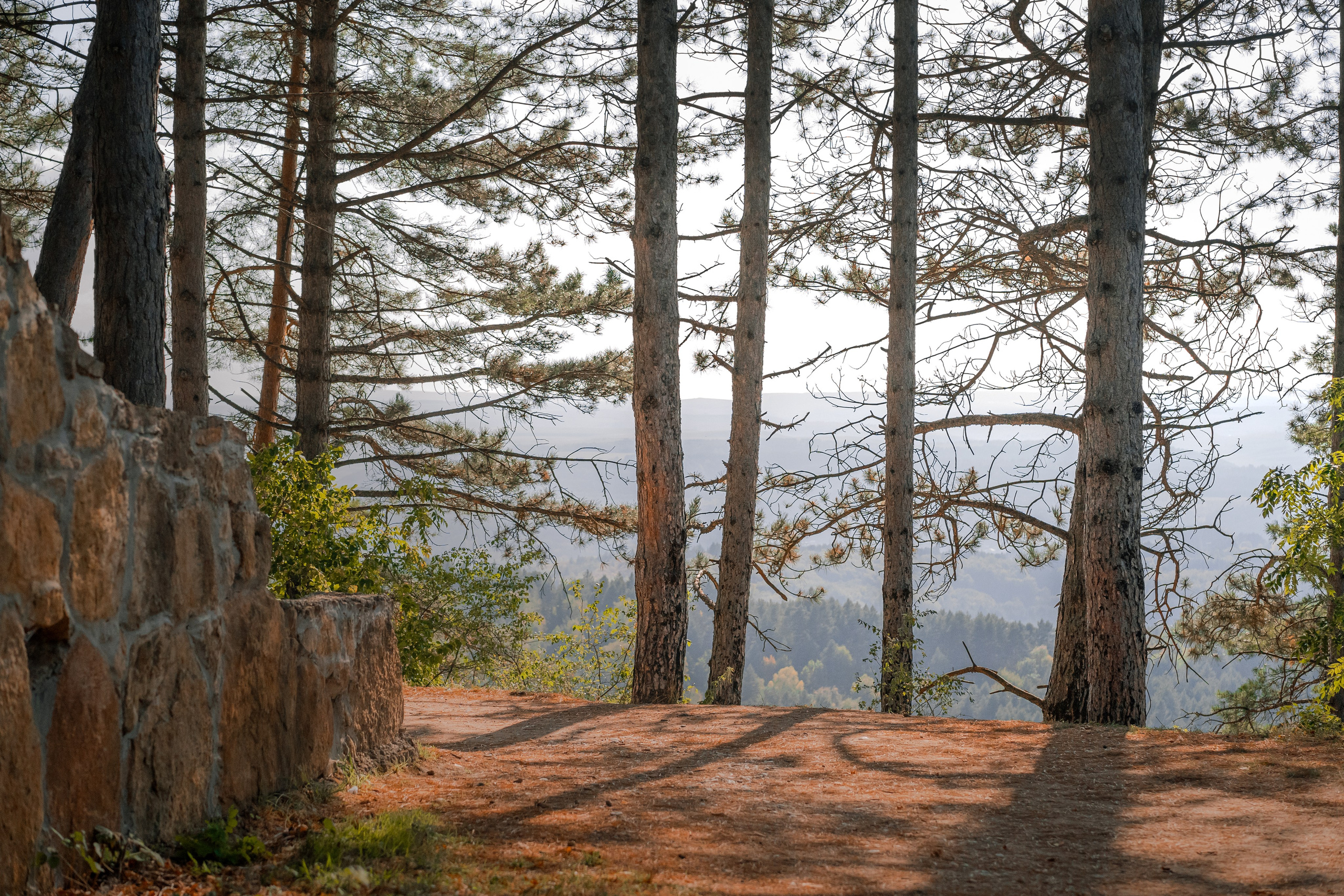 Извилистые терренкуры. Юля Дэй • Фотограф, Санкт-Петербург