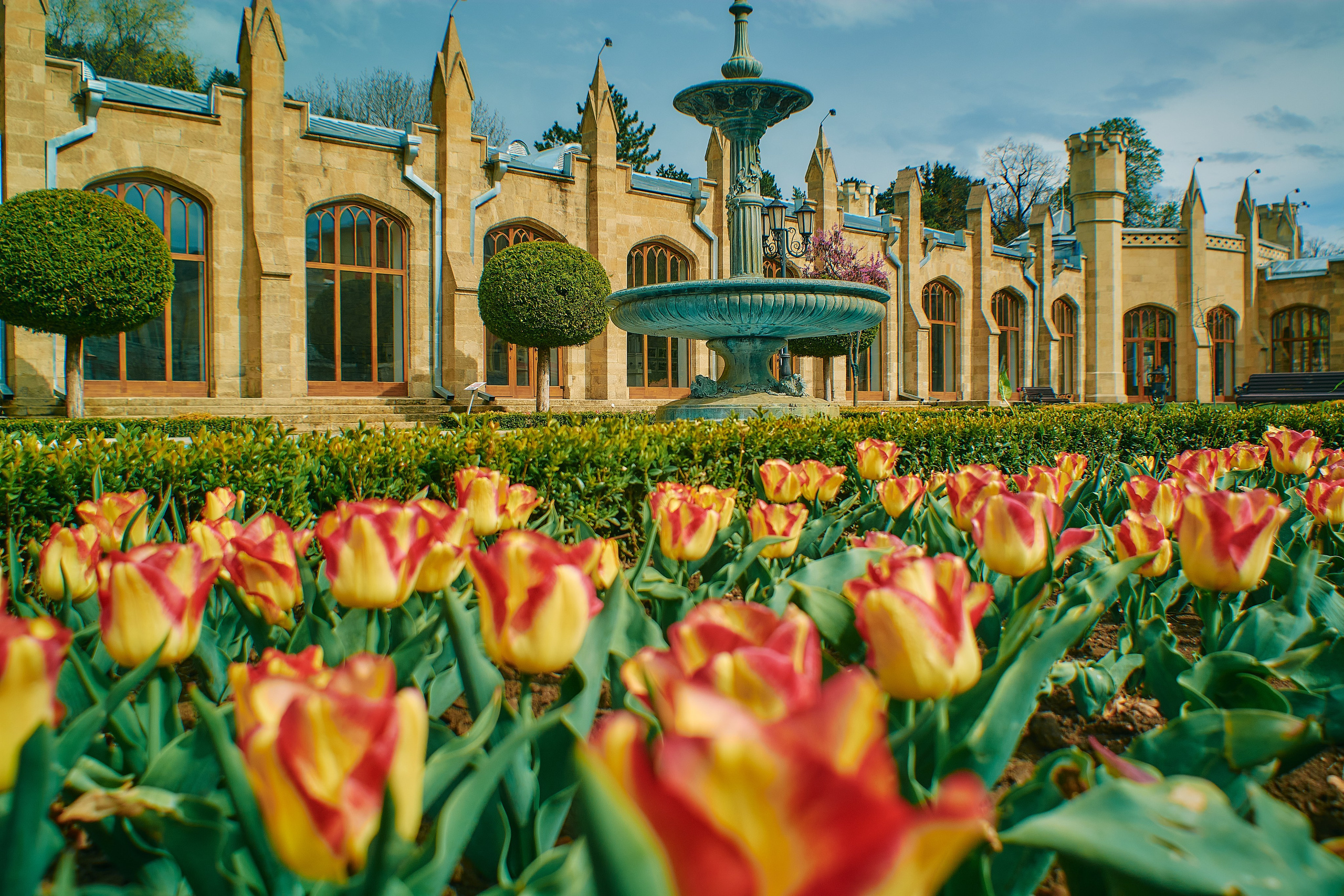 Кисловодский парк. Пейзажйные фото