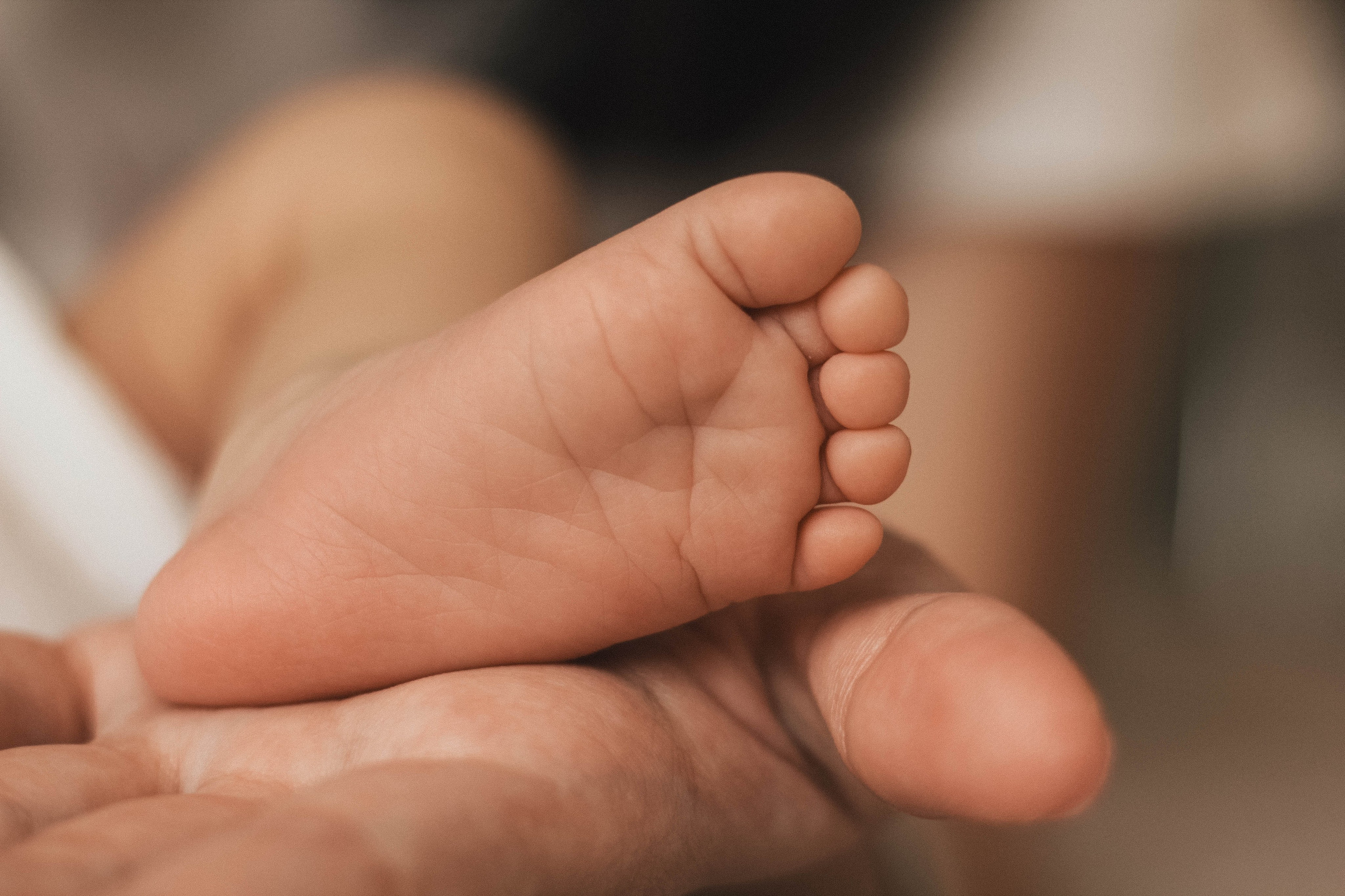 Новорожденные. Фотограф Александр Солнечный