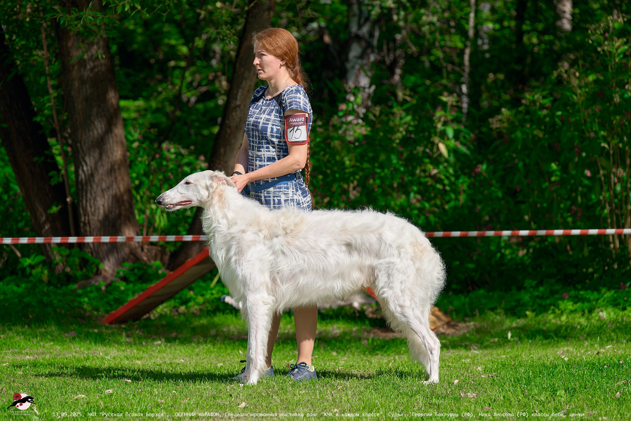 ОСЕННИЙ МАРАФОН | Специализированная выставка породы Русская Псовая Борзая ранг "КЧК в каждом классе"