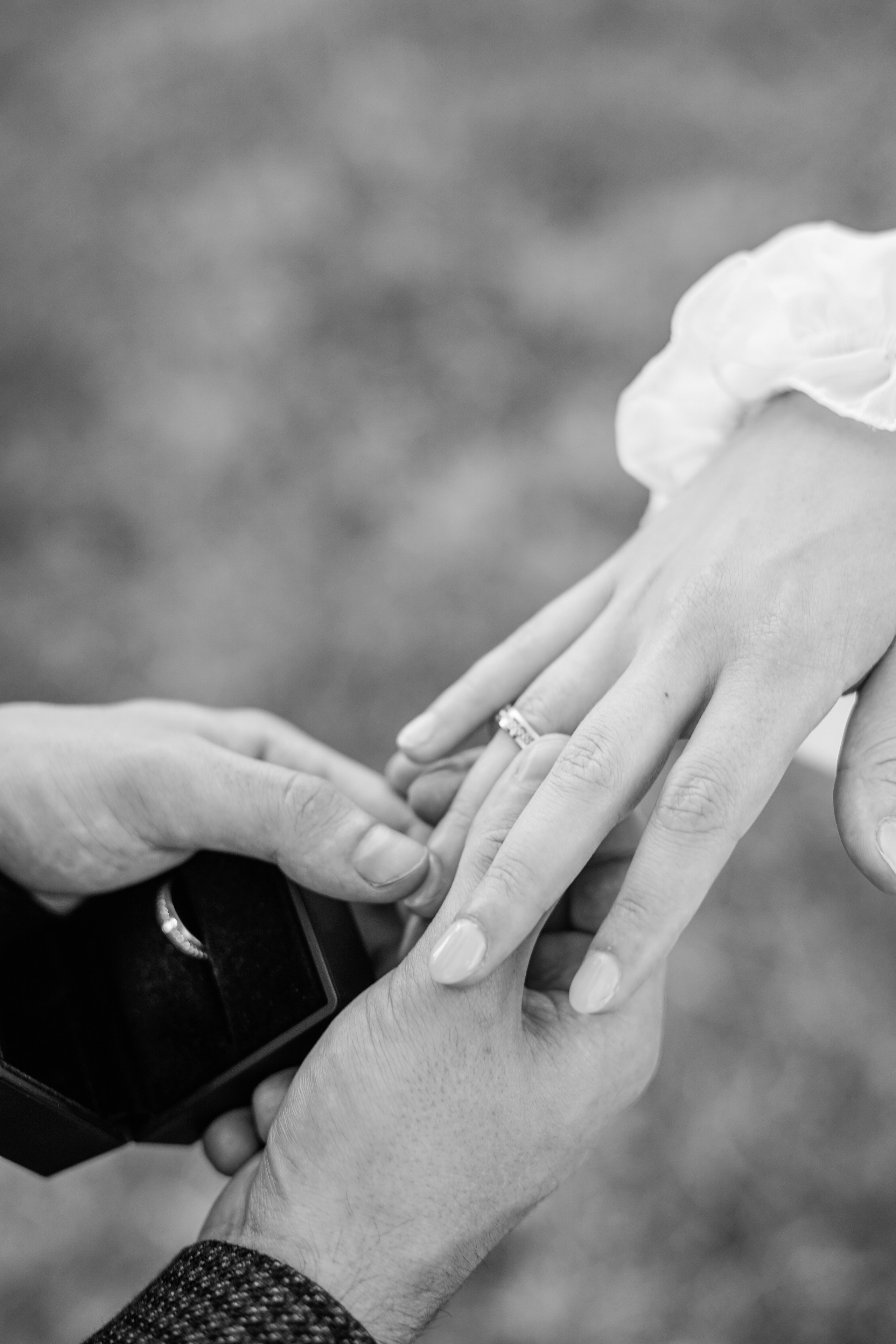 Анастасия и Даниил. Свадебная фотосессия в Сириусе. Фотограф в Сочи и Абхазии | Фототуры | September Air