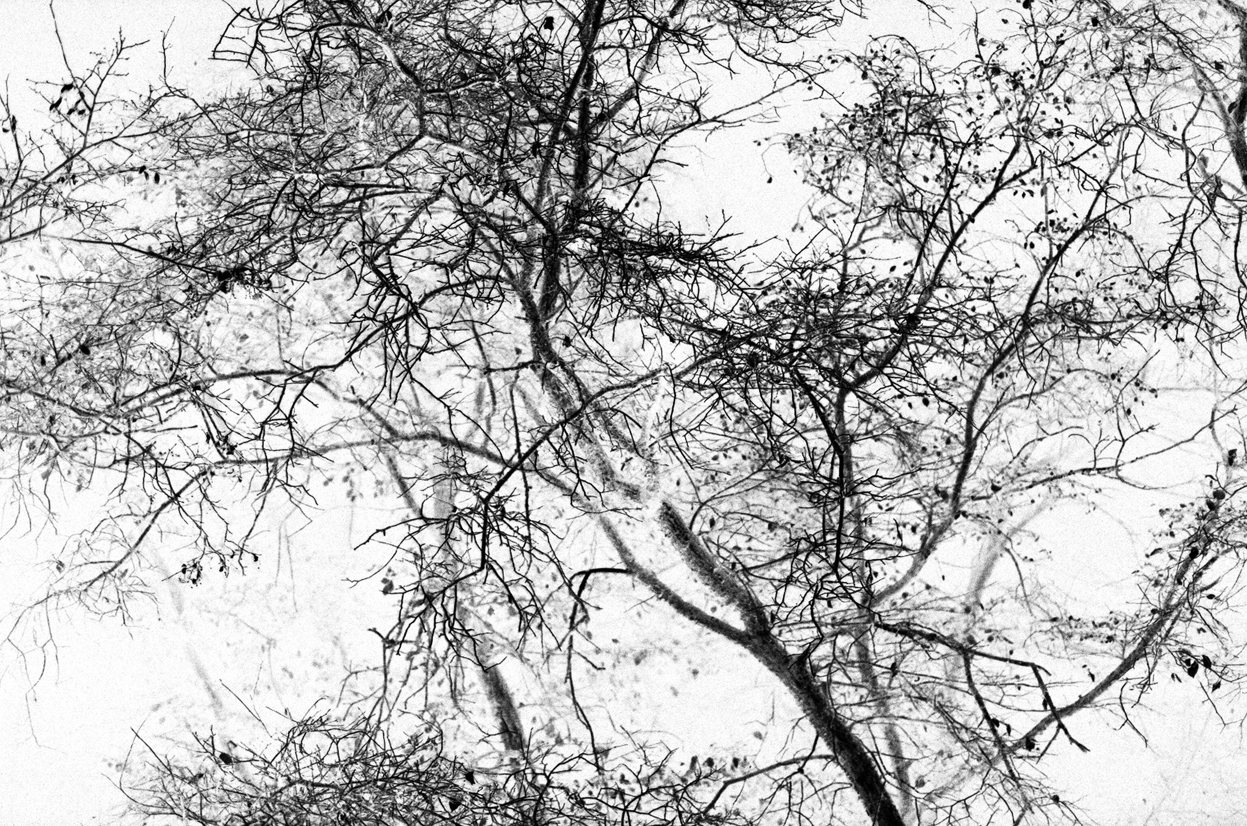 Осенние нуары. Контент-креатор Паша Норицын