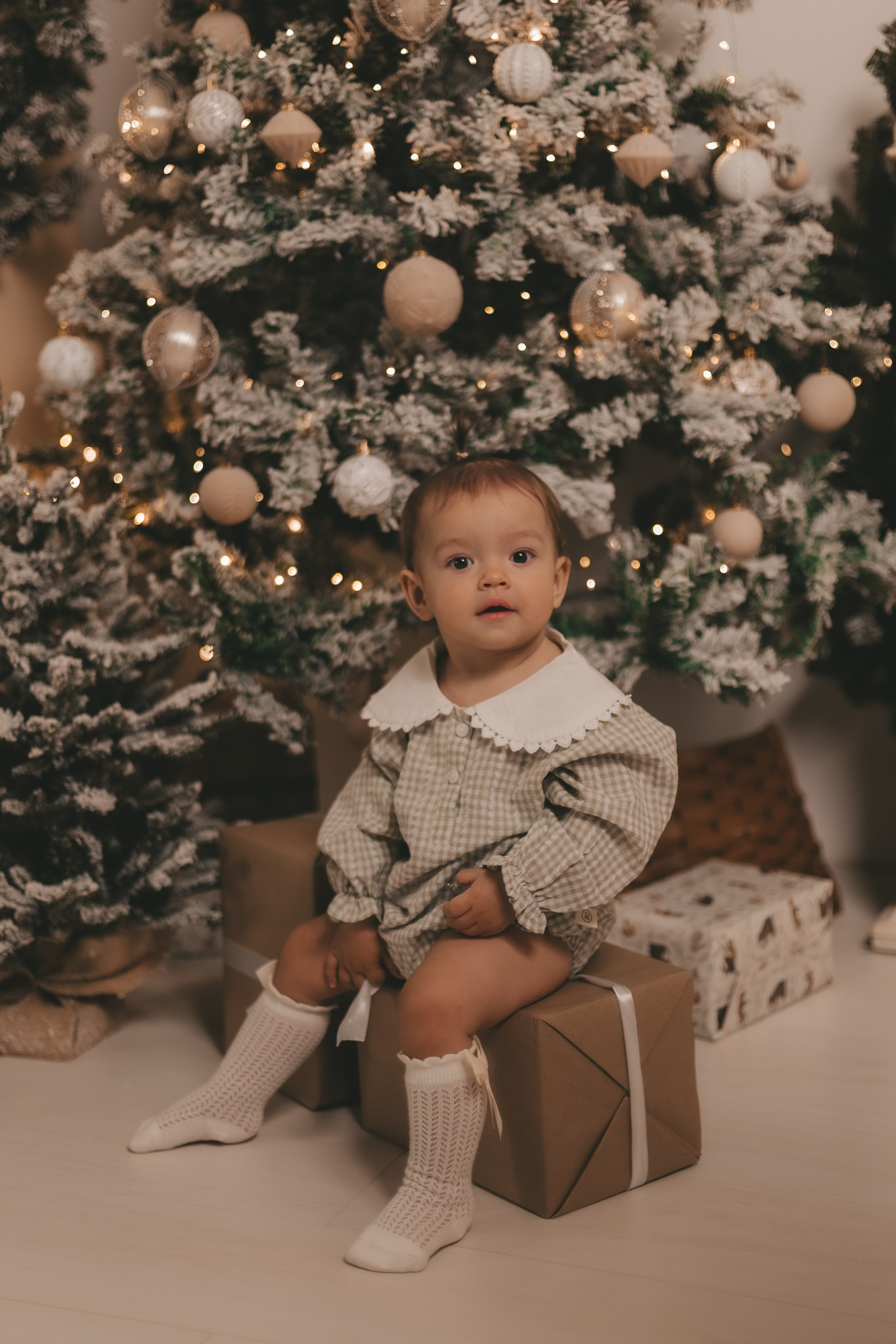 Новогодняя фотосессия семейная в Мытищах. Фотостудия «Птичка» Мытищи,