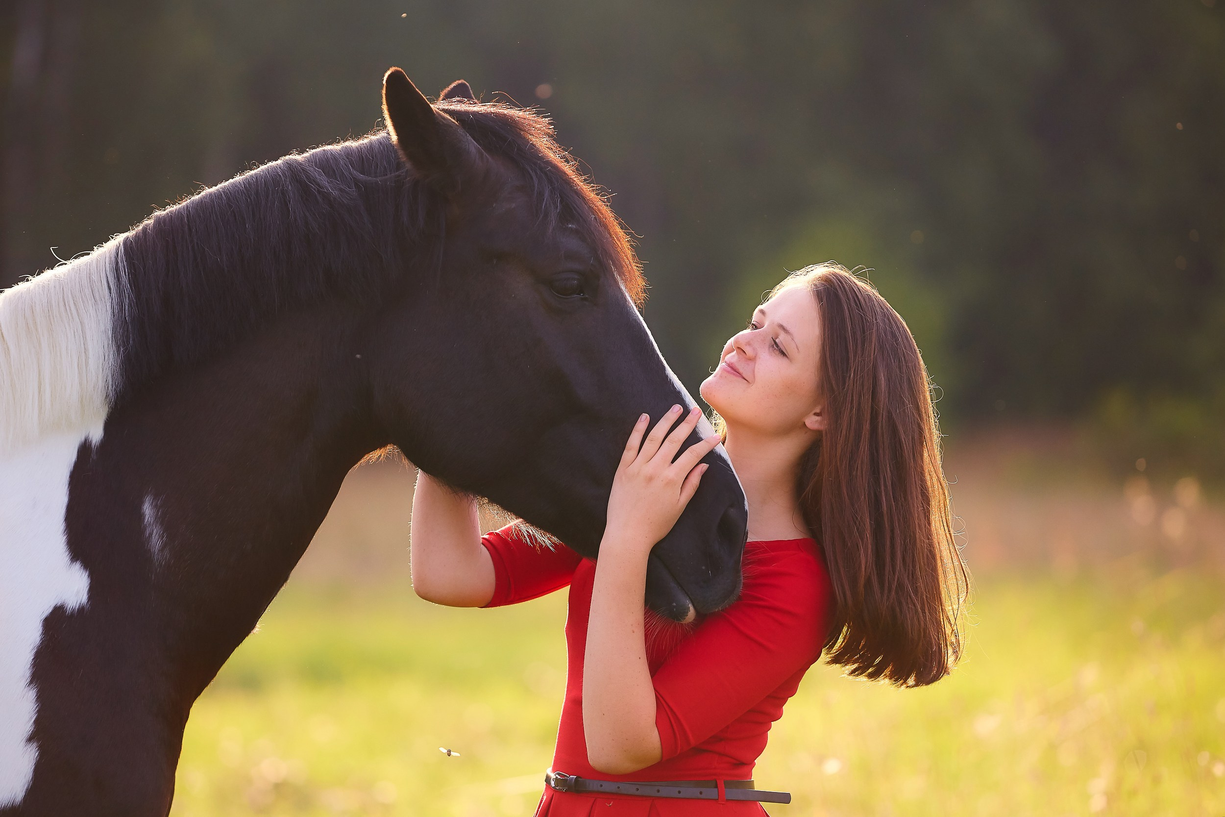 Фотосессия с лошадьми Фотограф Михаил Семенов, г. Ярославль