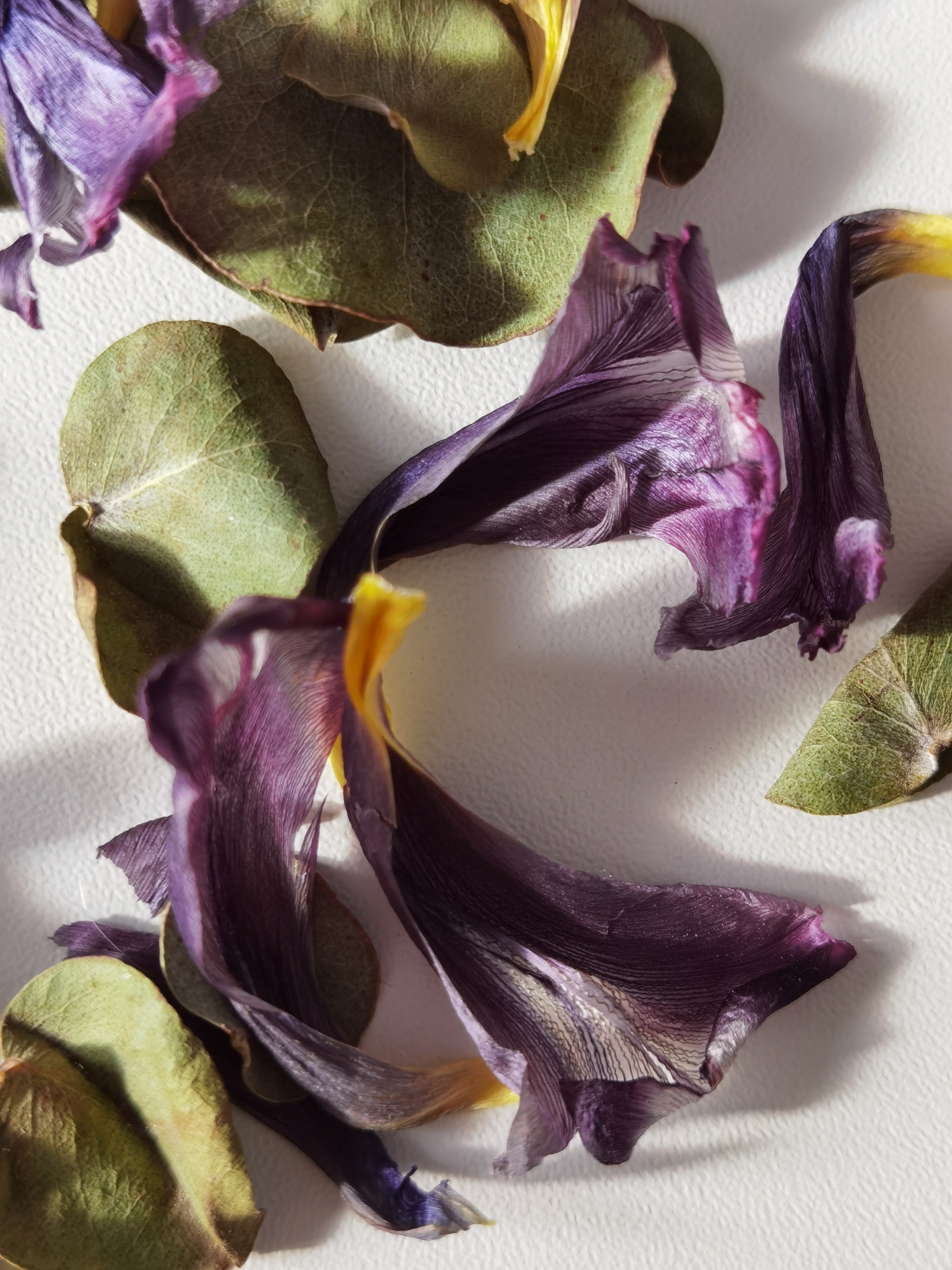 МК Мобильная фотография. Арт-фотограф Крис Л. в Тобольске: портрет, семейные, свадьбы