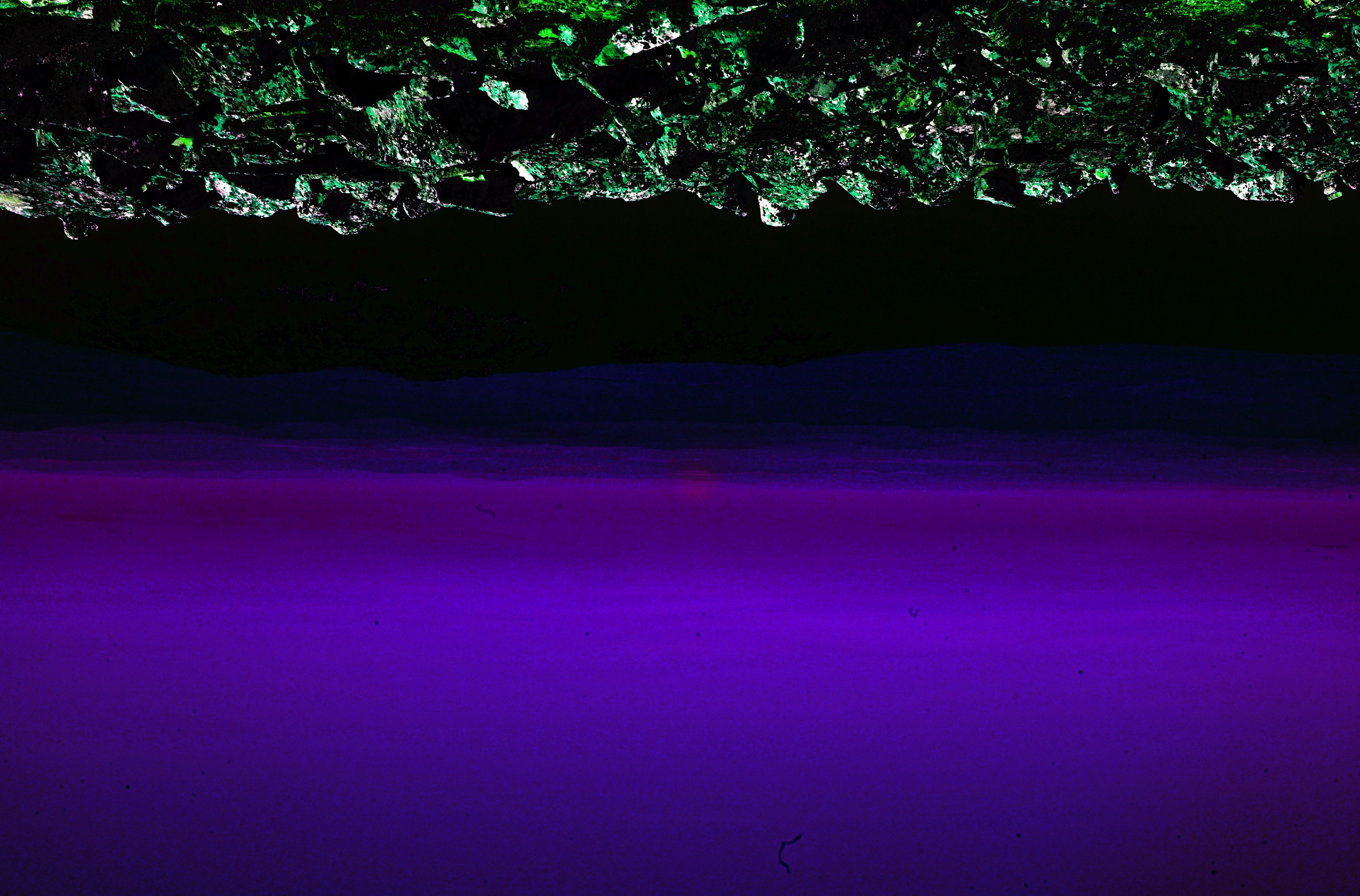 Скрытая иллюминация. Катрин Эдельвак