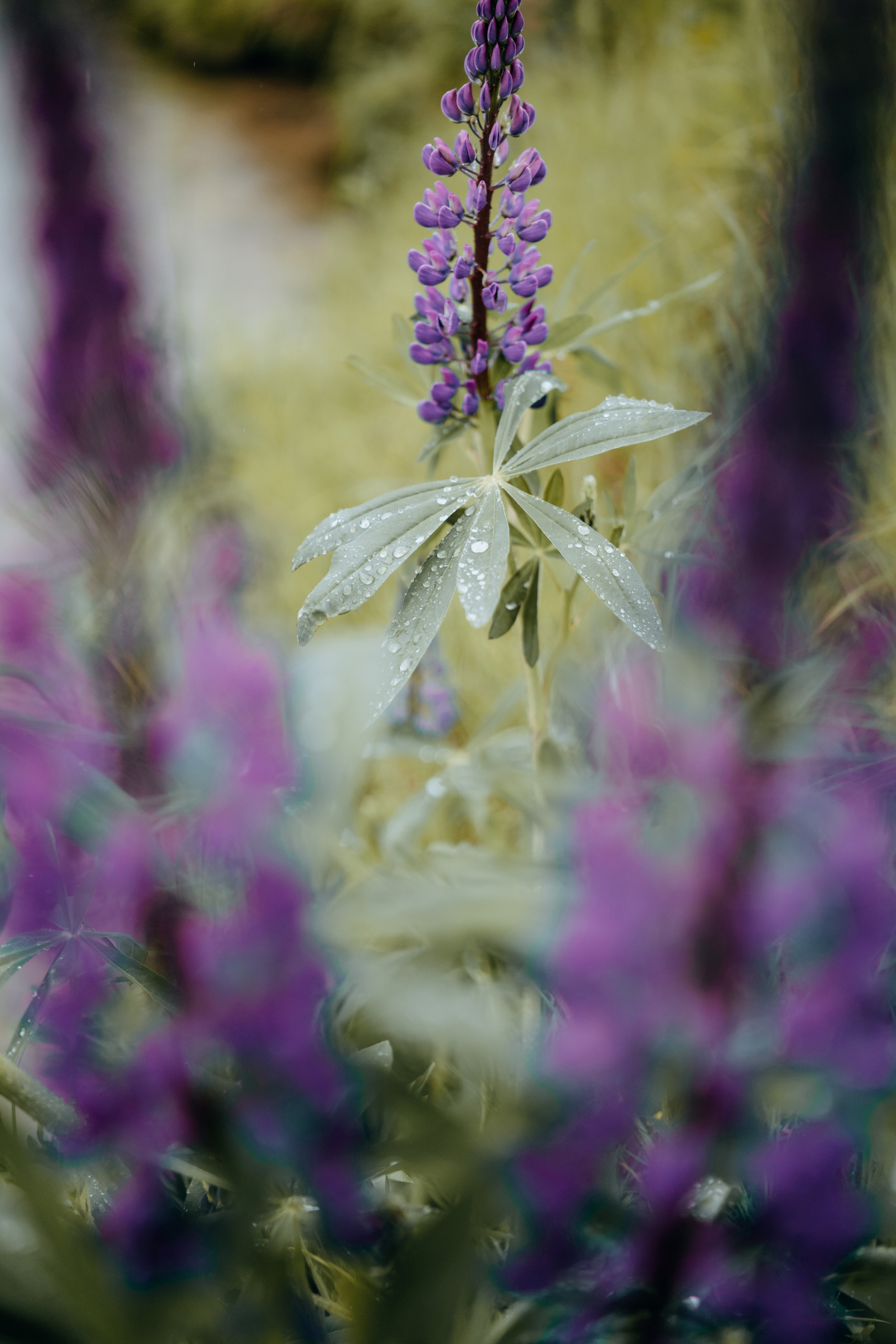 Семён и Арина ~God is love~. Свадебный фотограф Анжелика Сариева