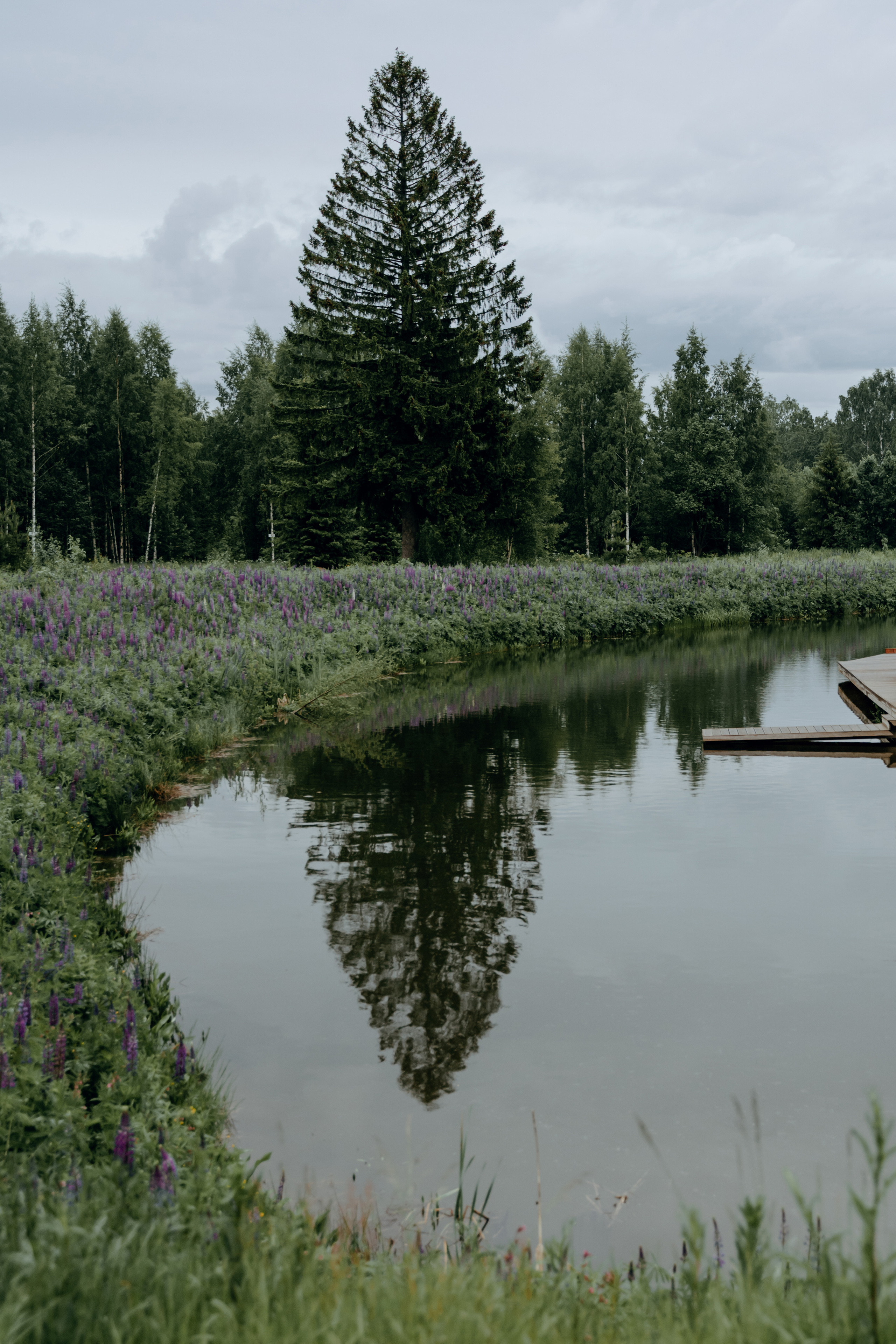Семён и Арина ~God is love~. Свадебный фотограф Анжелика Сариева