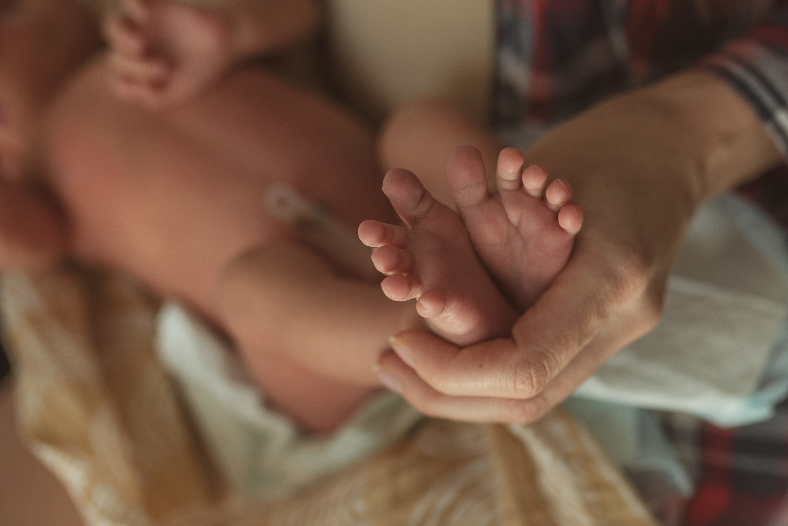 Есения. Тебя здесь ждали. Семейный фотограф в Ростове-на-Дону Мария Панарина