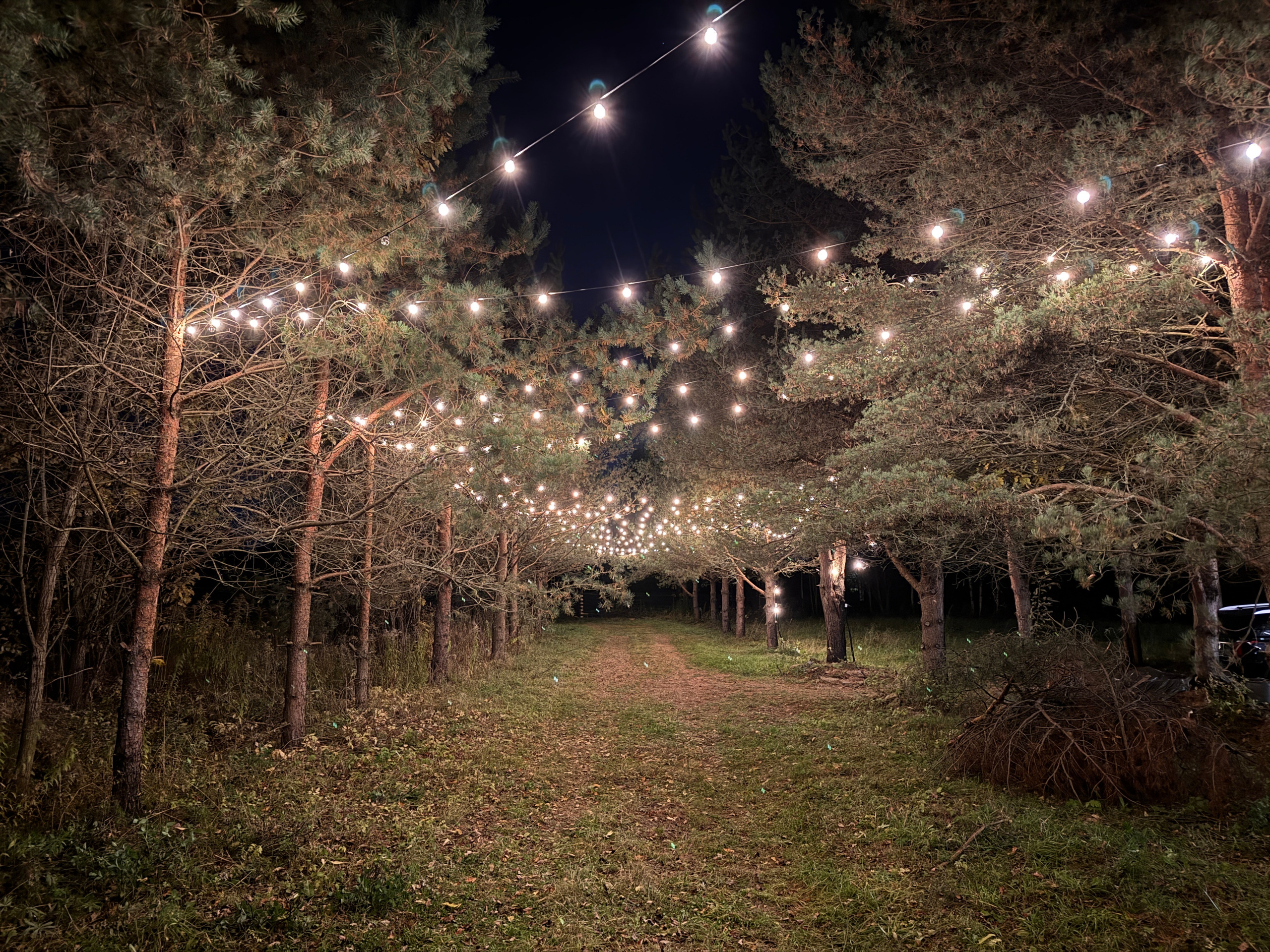 Банкетный зал сиреневая аллея СПБ/Петербурге