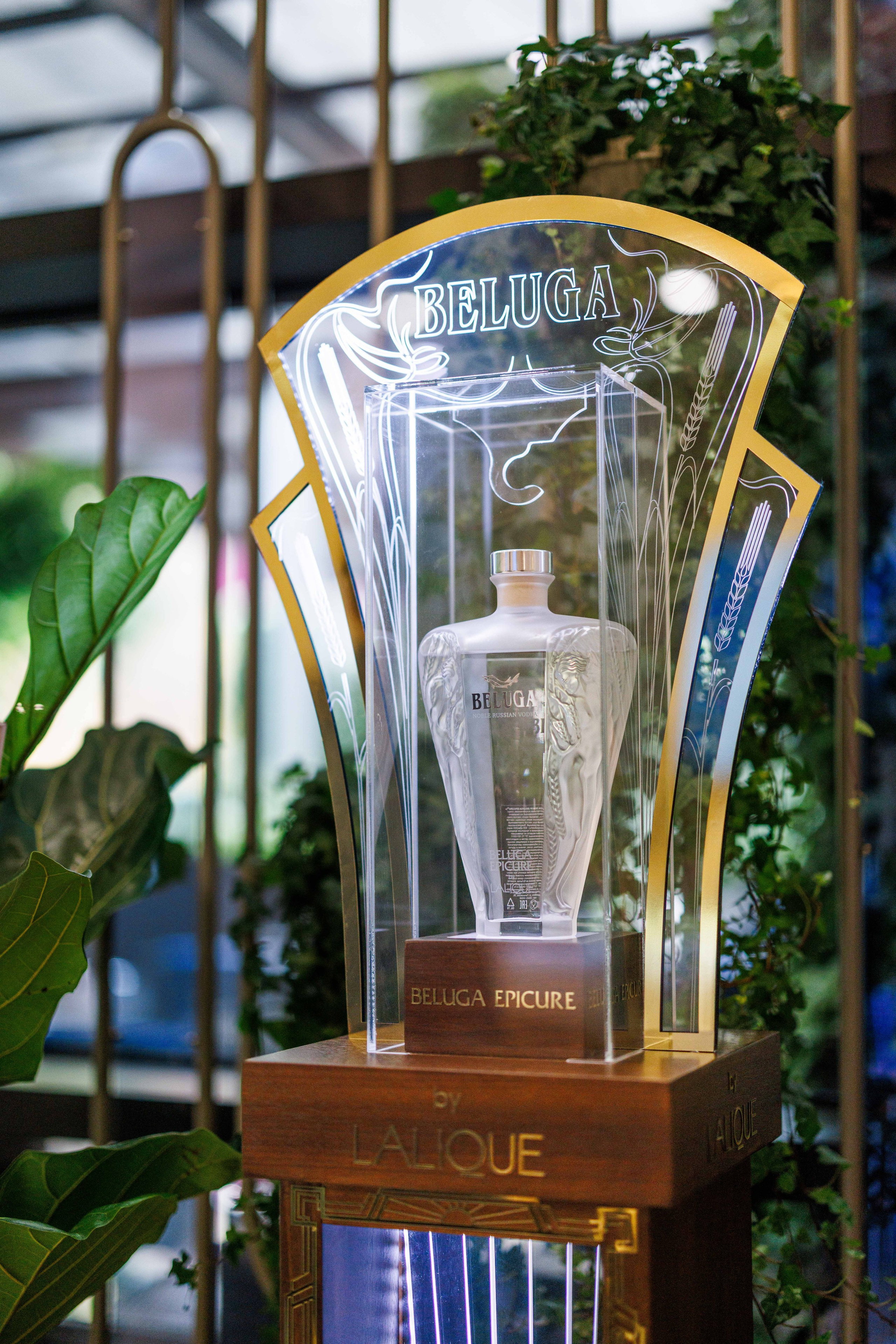 ПМЭФ 2025. Фотограф Балаев Михаил