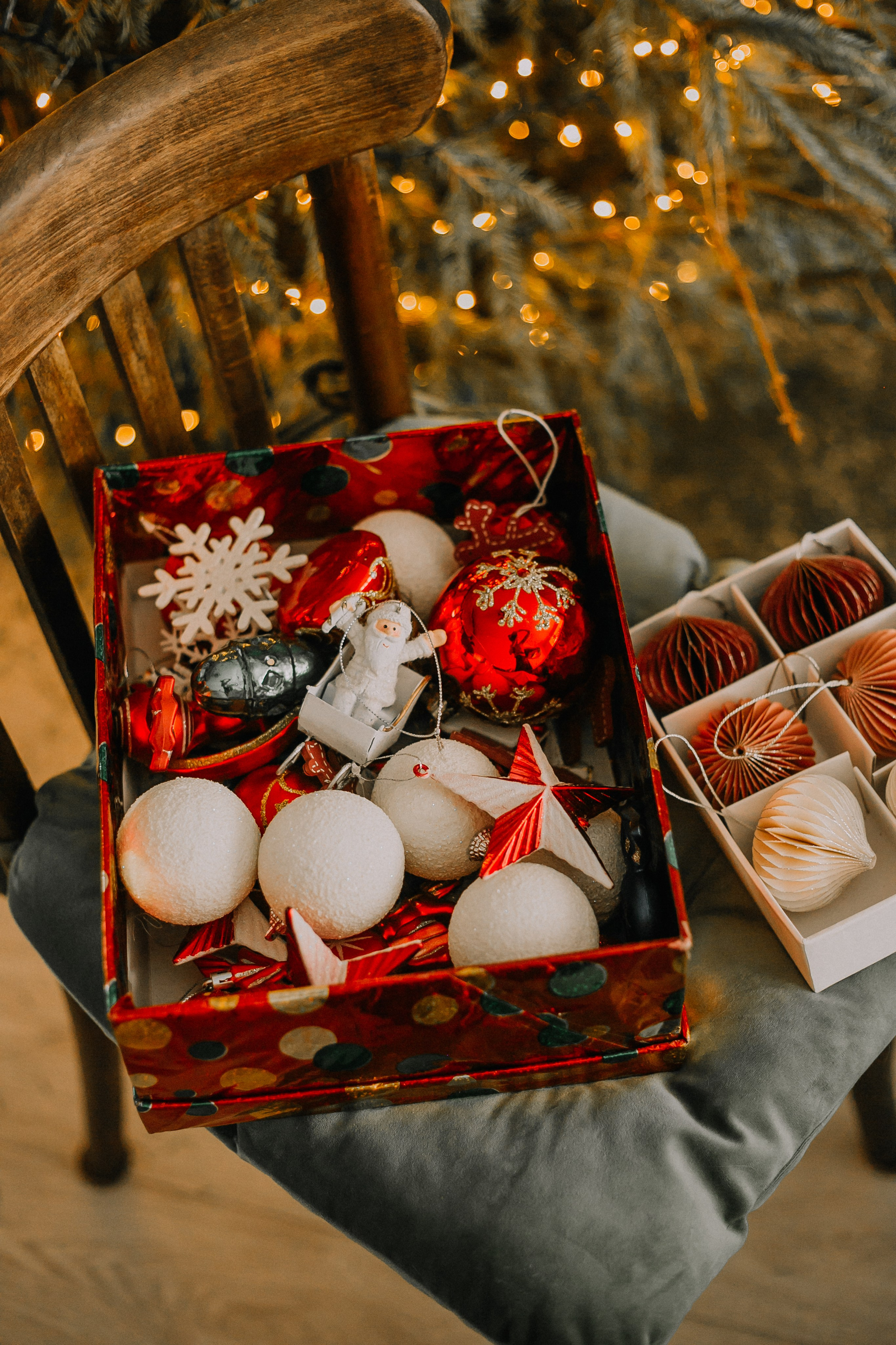 Портфолио animal. Фотограф — анималист Маргарита Хелбен Краснодар