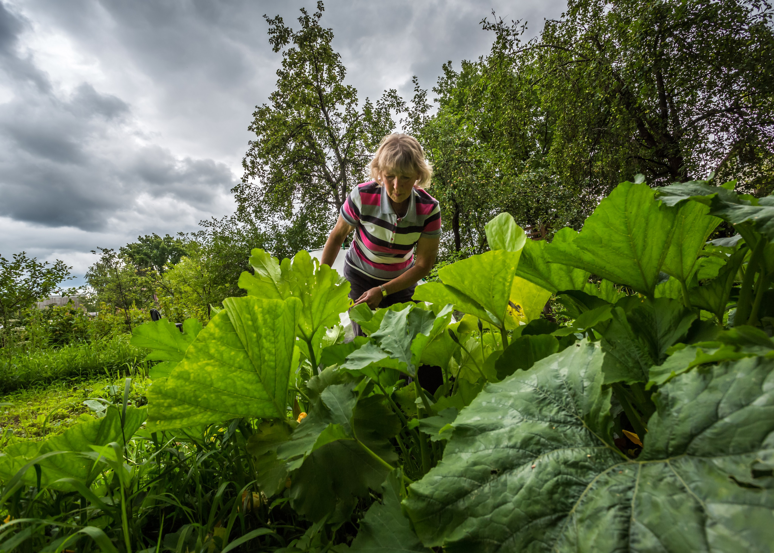 КАПИТАН МАРИНА. Контакты