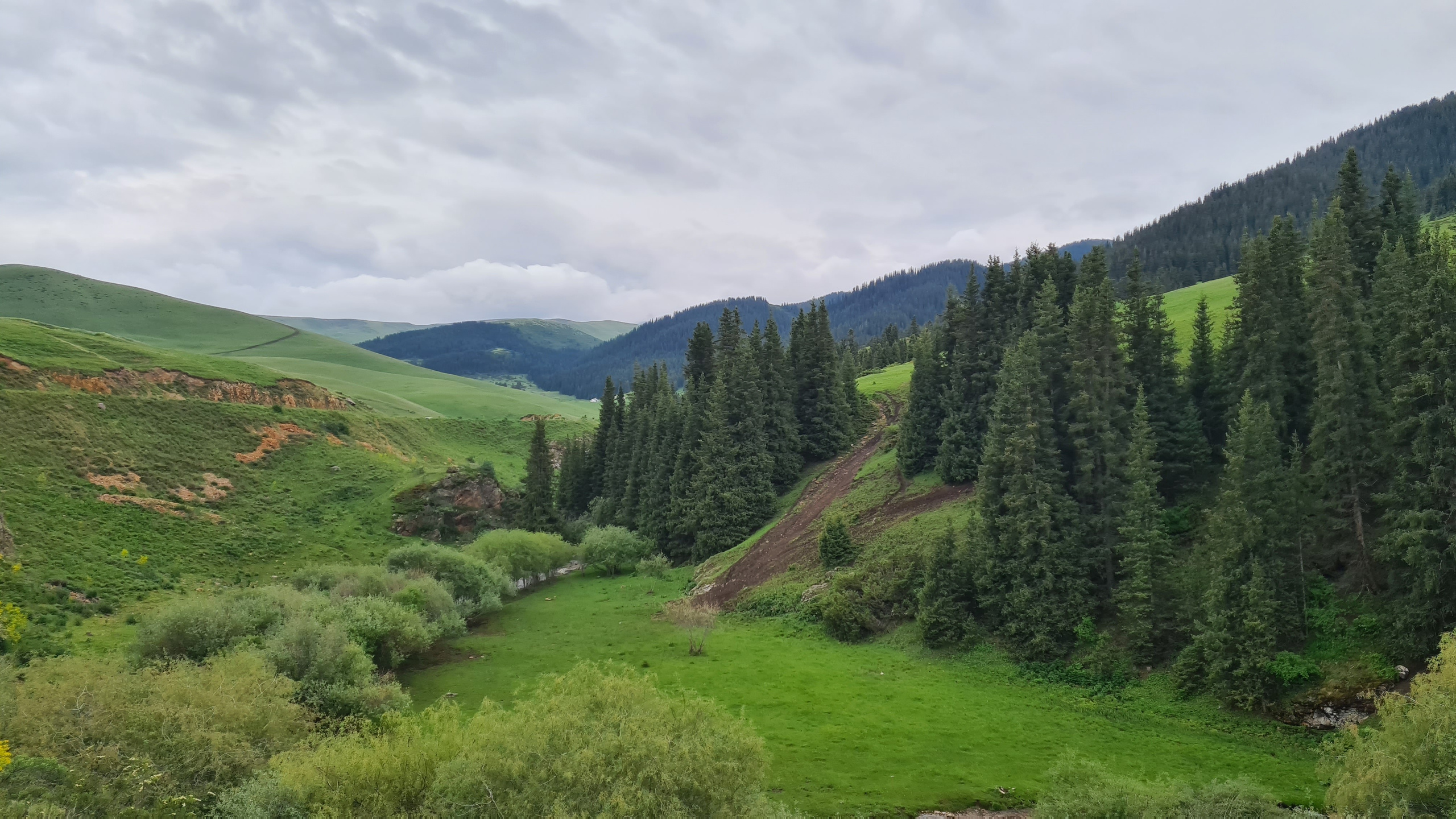 Экскурсия на плато Ассы из Алматы