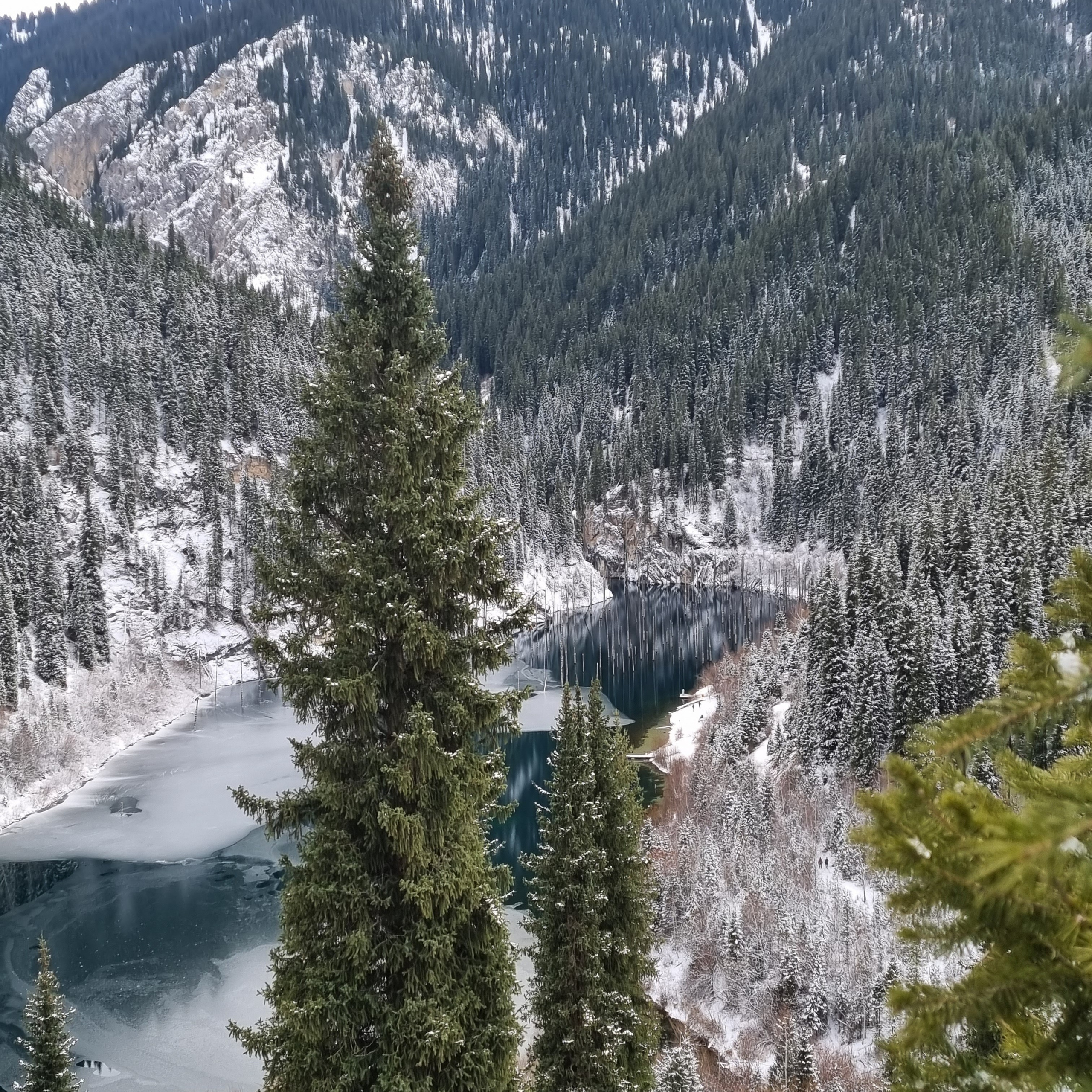 Melon Travel в Алматы: экскурсии и джип туры в Чарынский каньон, озера Каинды, Кольсай, Иссык, национальный парк Алтын Эмель