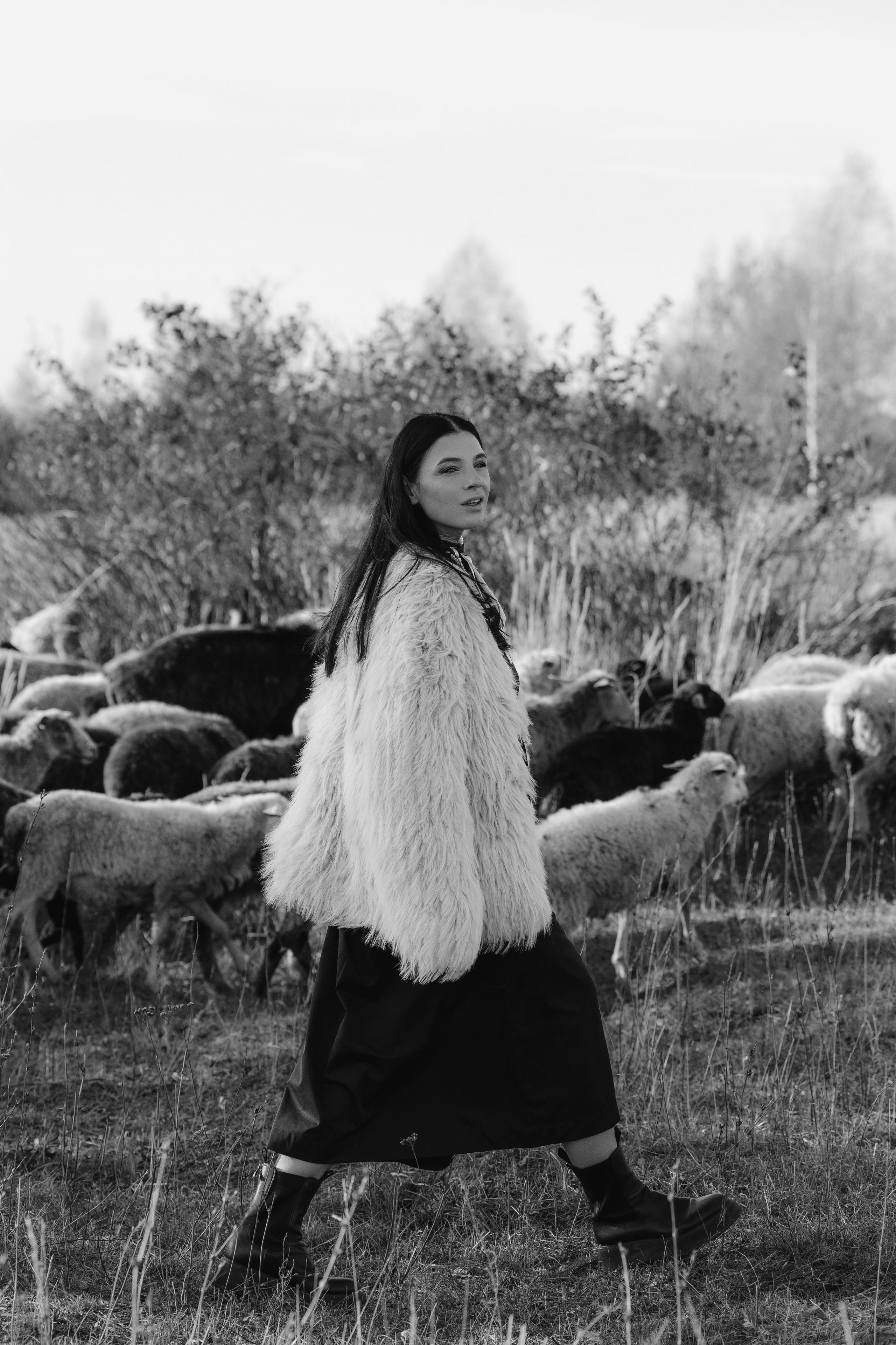 Охота на овец