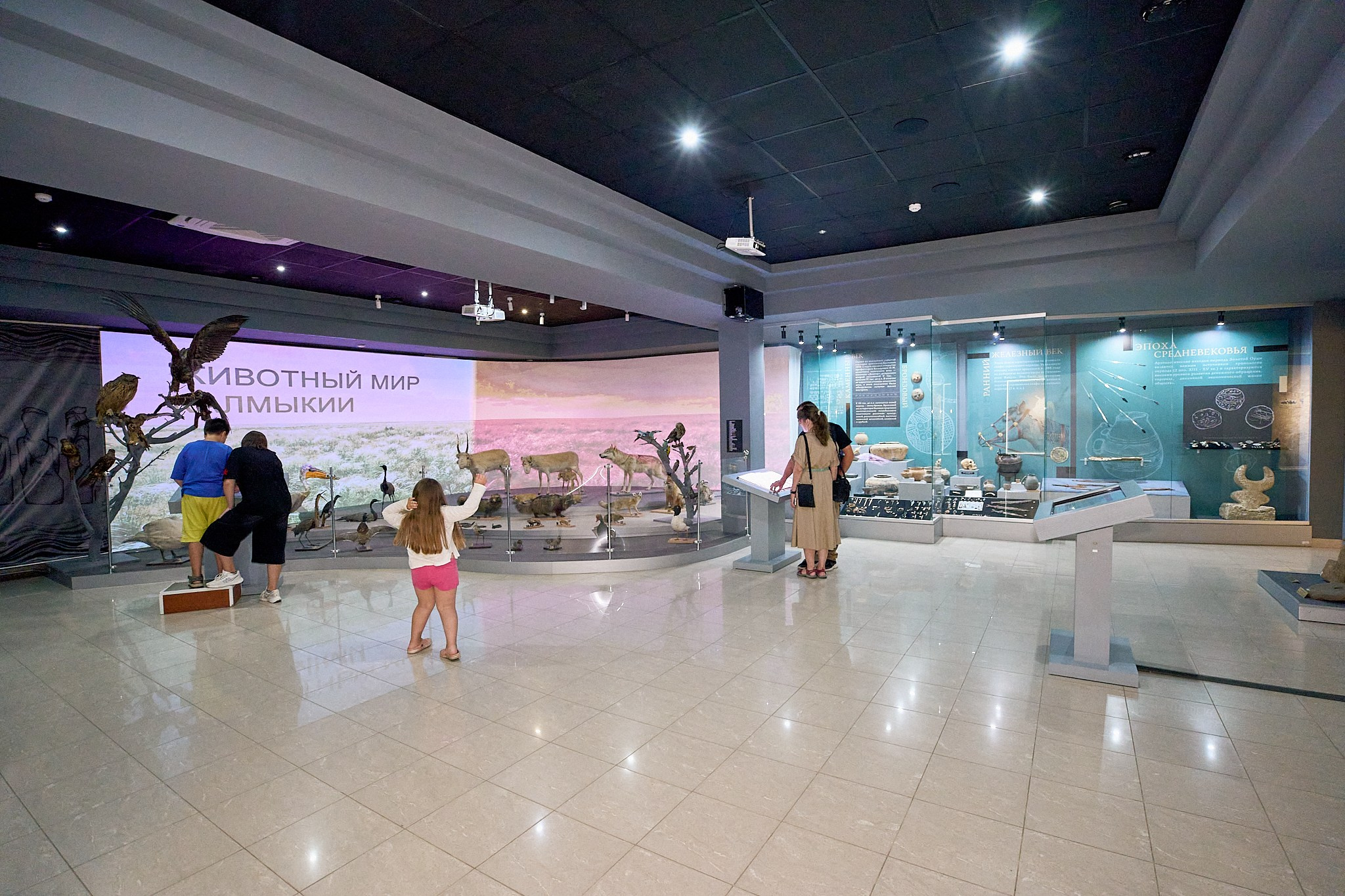 Элиста 08.2024. Петр Ступень. Свадебное, семейное фото и видео. Москва. Краснодар